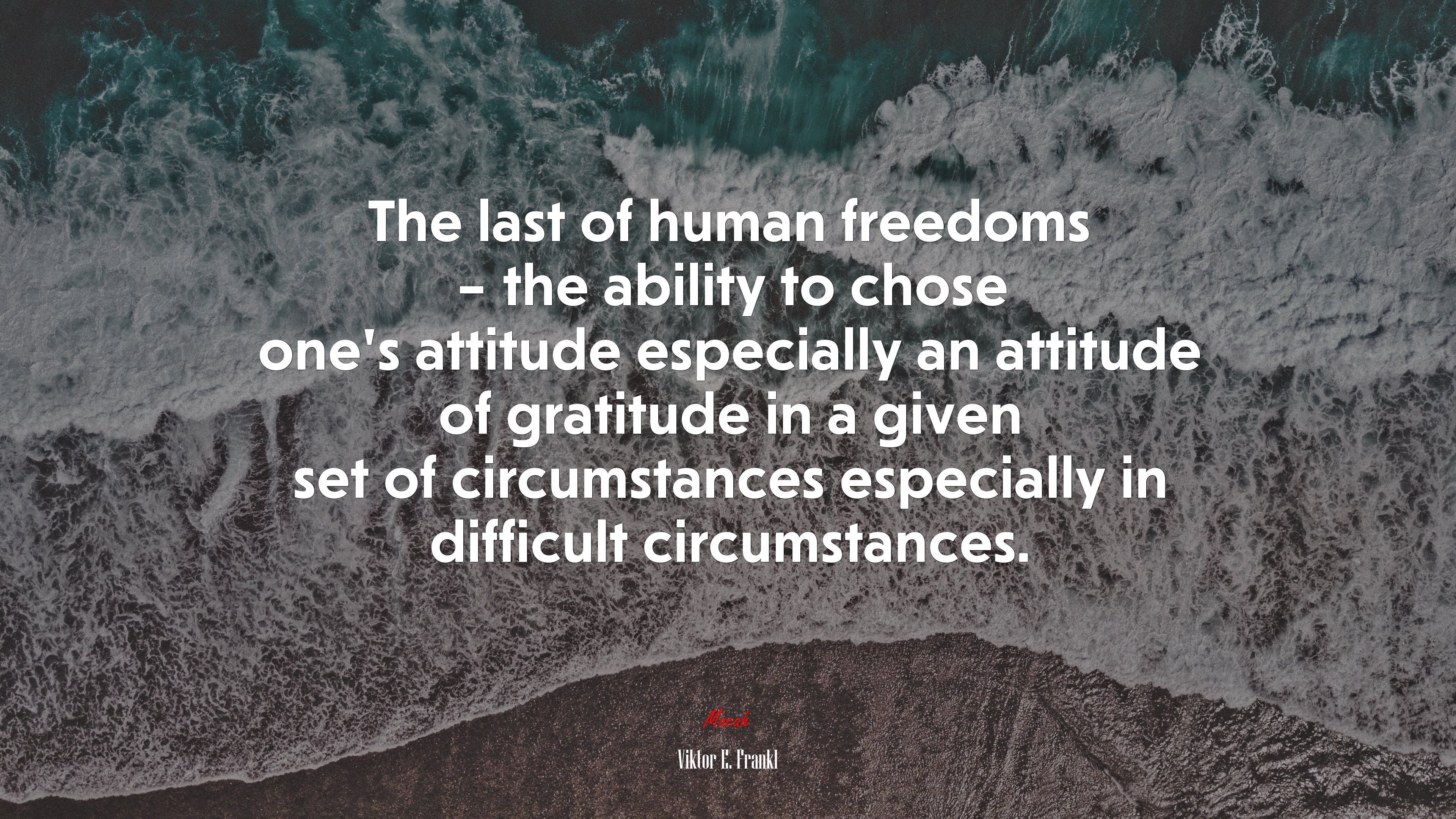 The last of human freedoms – the ability to chose one’s attitude especially an attitude of gratitude in a given set of circumstances especially in difficult circumstances. | Viktor E. Frankl quote HD Wallpaper
