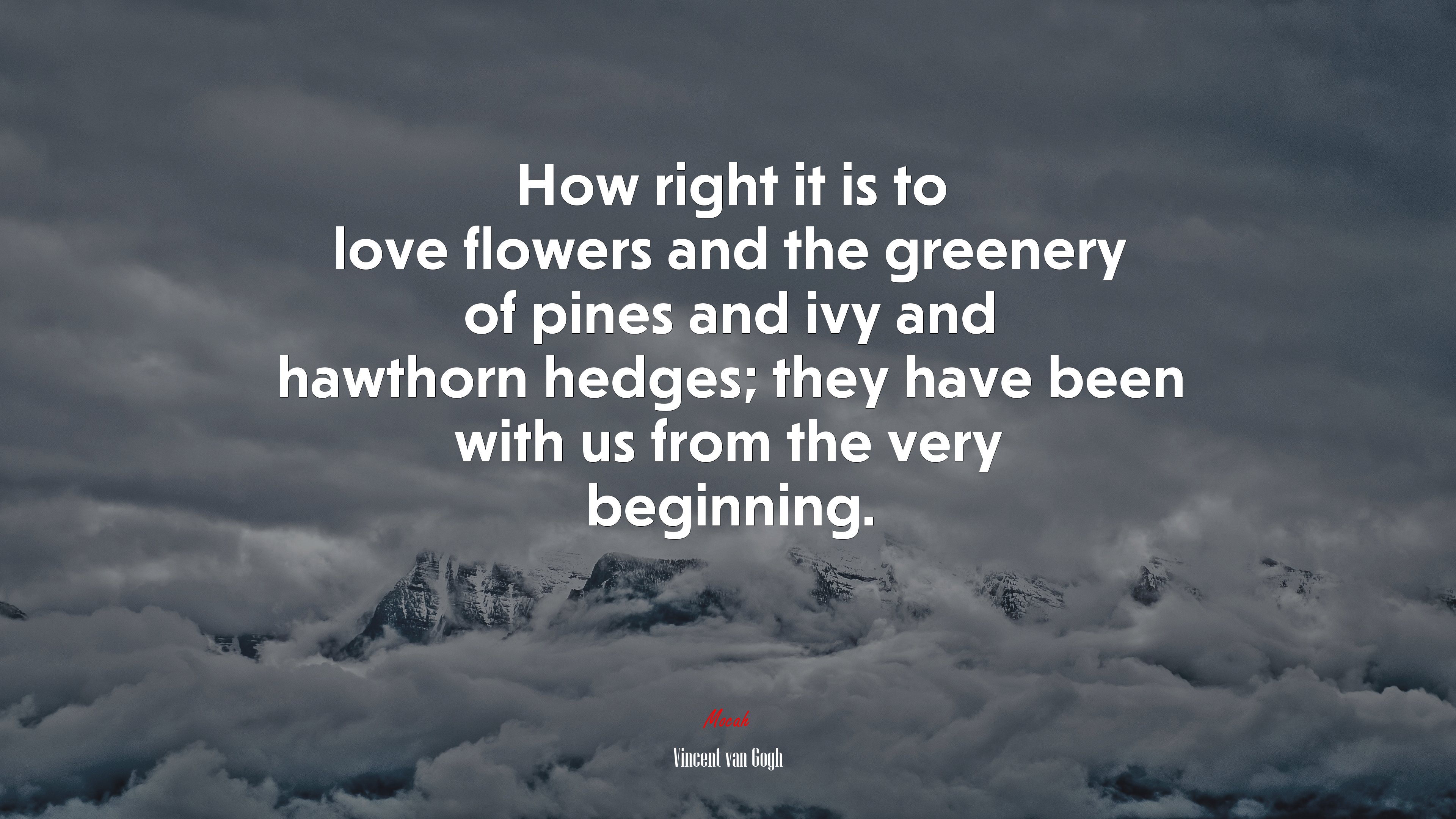 How right it is to love flowers and the greenery of pines and ivy and hawthorn hedges; they have been with us from the very beginning. | Vincent van Gogh quote HD Wallpaper