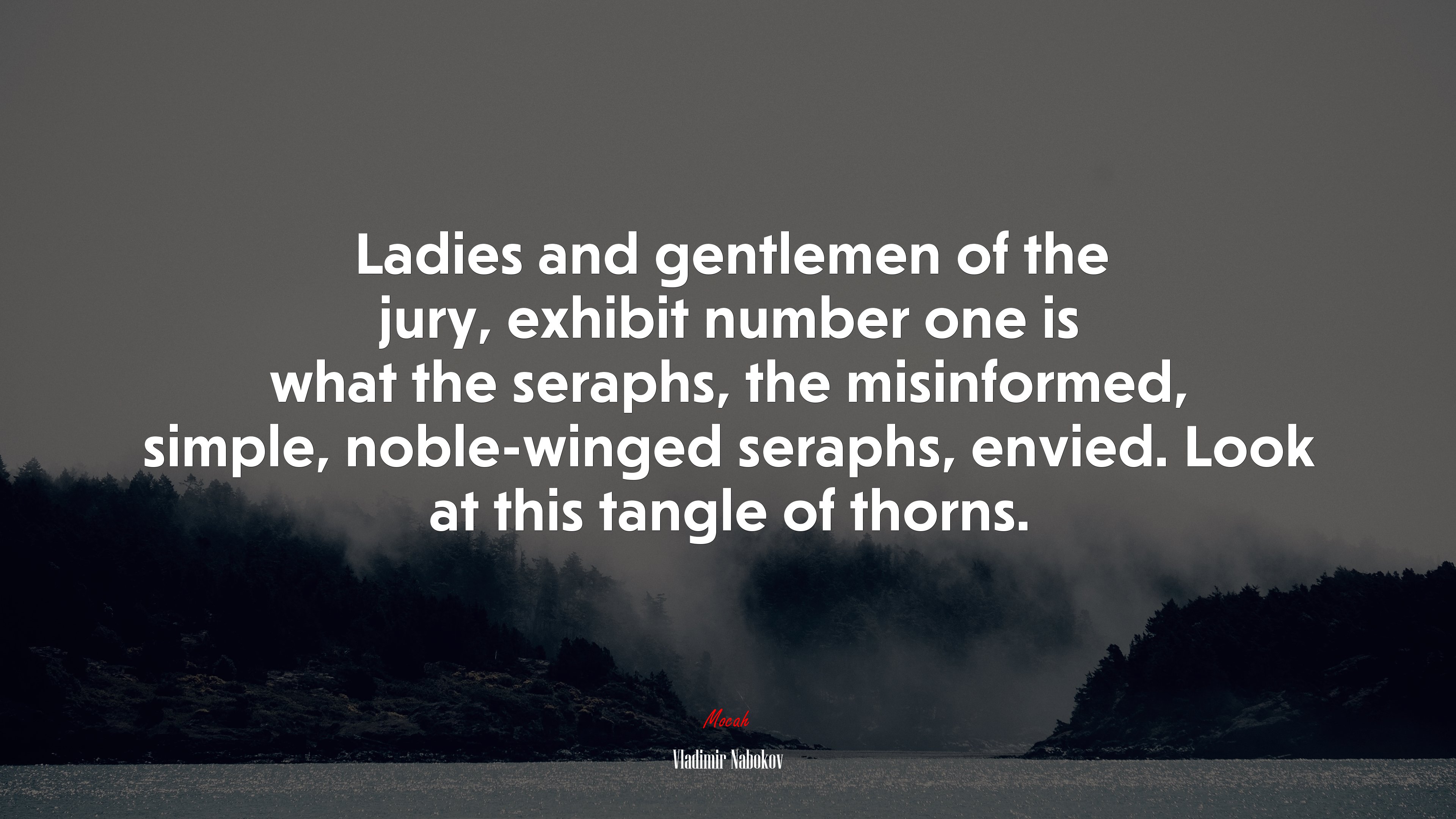 Ladies and gentlemen of the jury, exhibit number one is what the seraphs, the misinformed, simple, noble-winged seraphs, envied. Look at this tangle of thorns. | Vladimir Nabokov quote HD Wallpaper