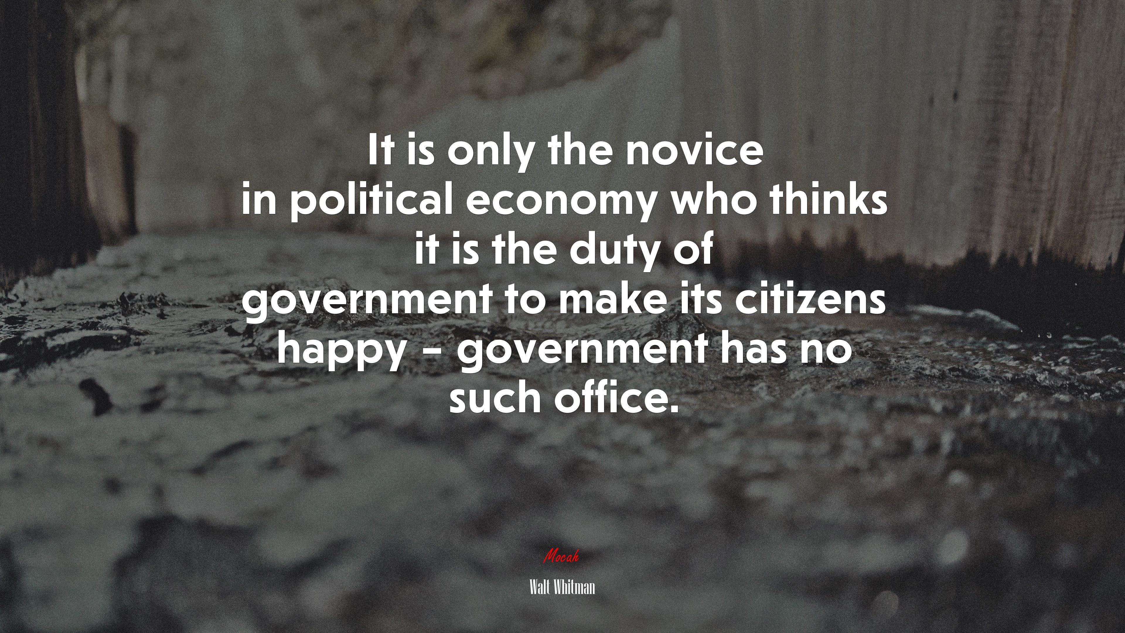 It is only the novice in political economy who thinks it is the duty of government to make its citizens happy – government has no such office. | Walt Whitman quote HD Wallpaper