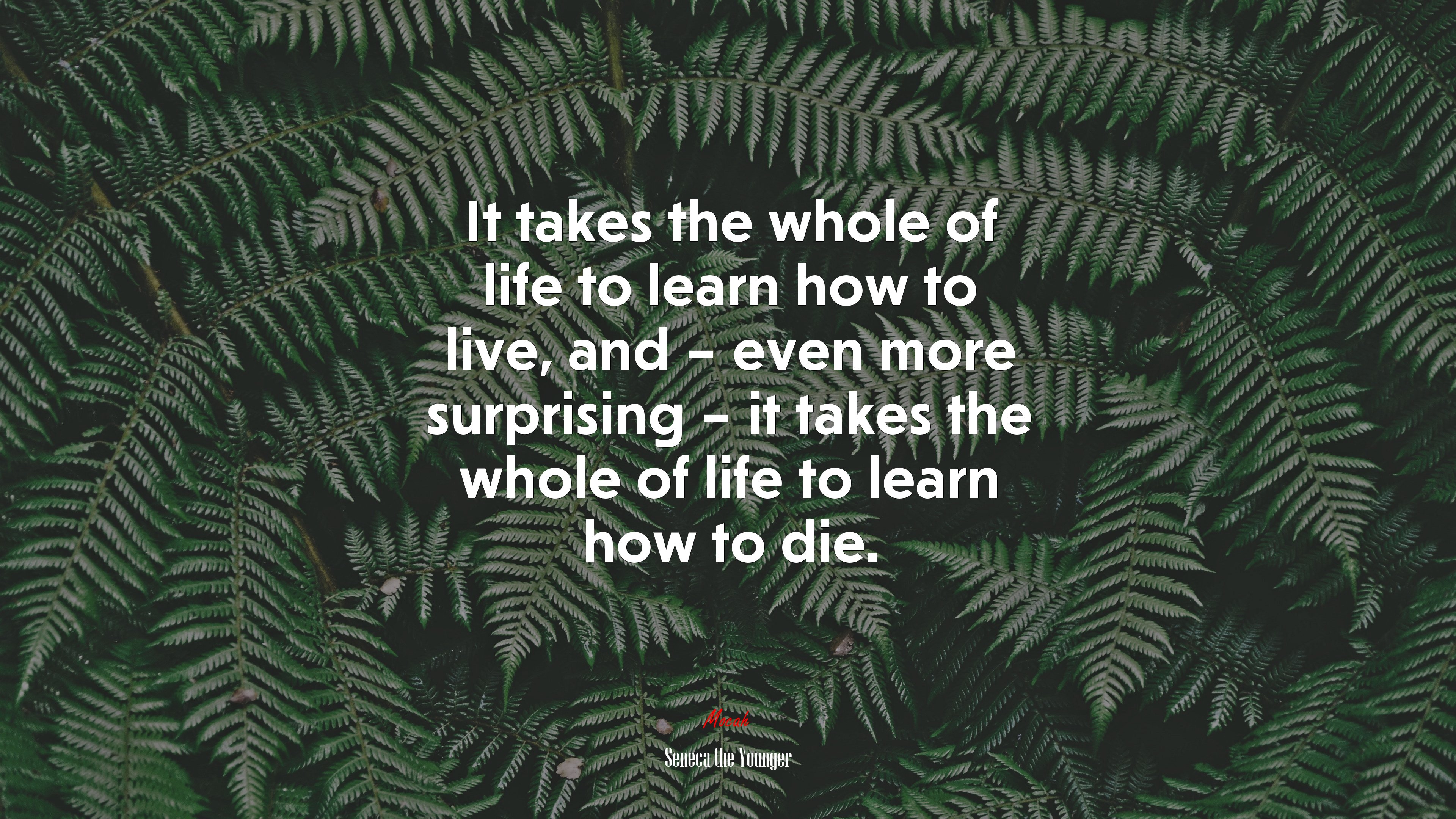 It takes the whole of life to learn how to live, and – even more surprising – it takes the whole of life to learn how to die. | Seneca the Younger quote HD Wallpaper