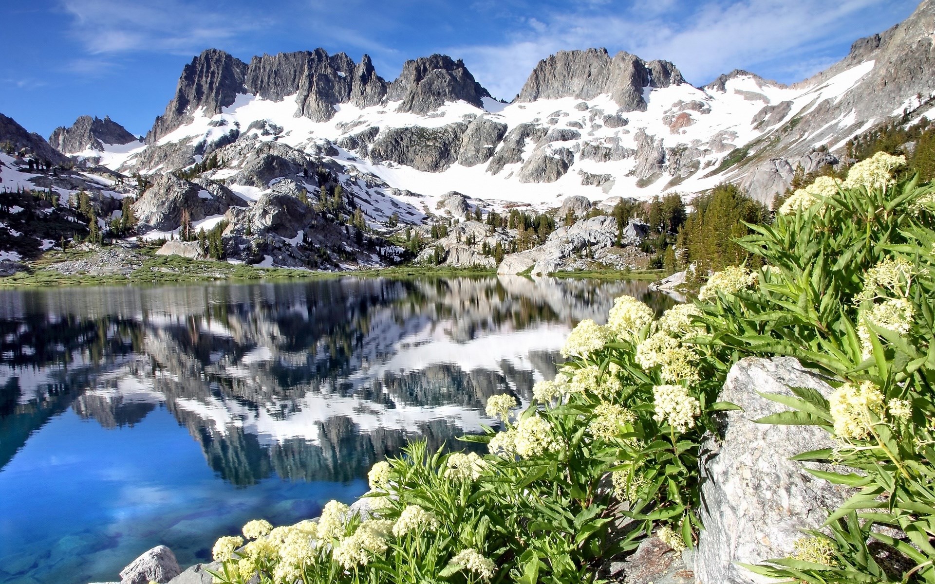 Snow-capped mountains reflected in a clear lake with wildflowers HD Wallpaper