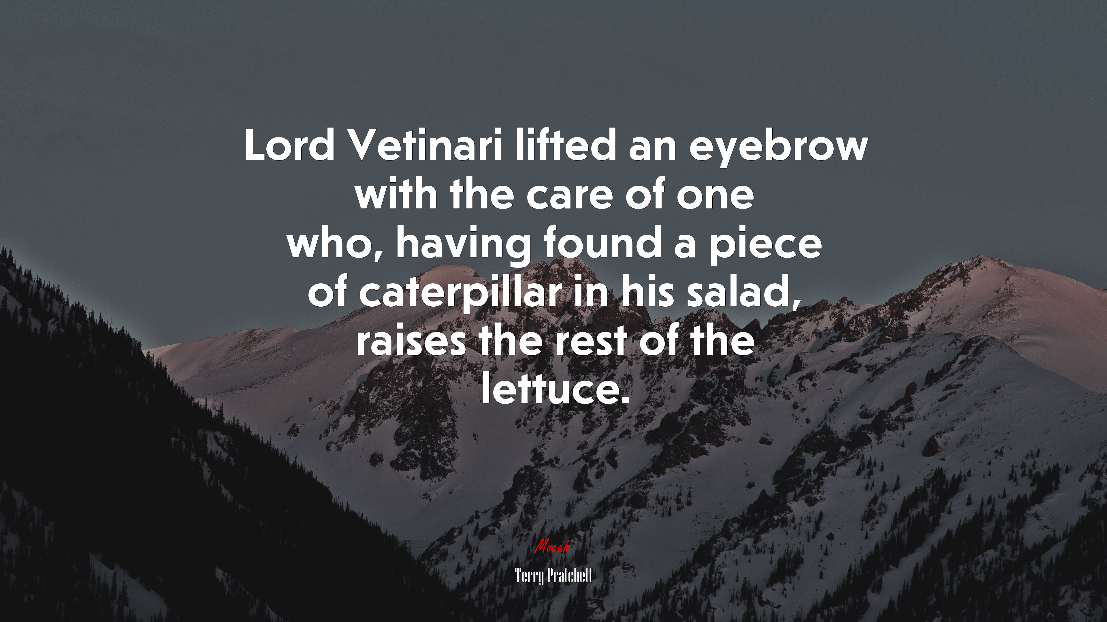 Lord Vetinari lifted an eyebrow with the care of one who, having found a piece of caterpillar in his salad, raises the rest of the lettuce. | Terry Pratchett quote HD Wallpaper