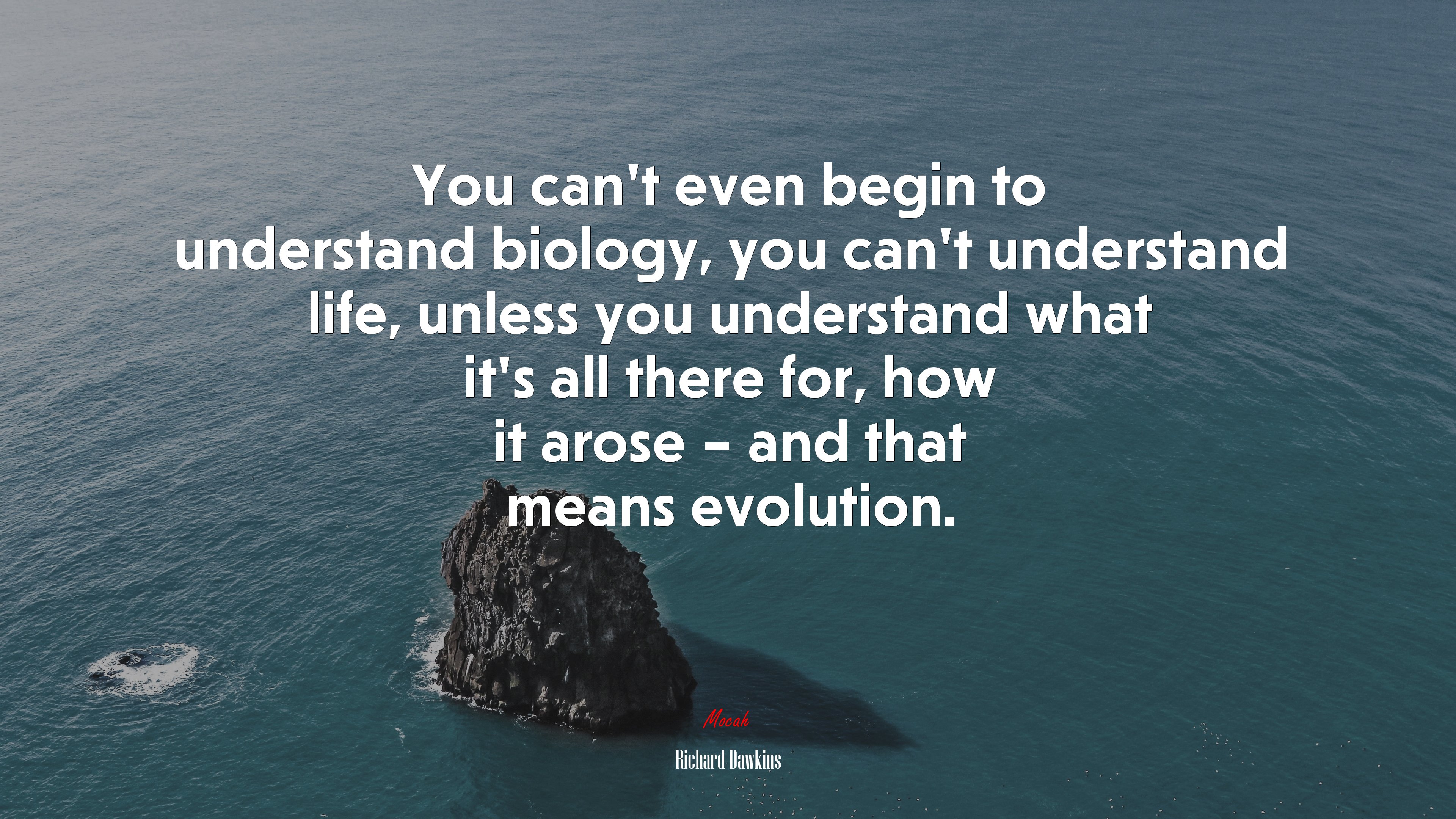 You can’t even begin to understand biology, you can’t understand life, unless you understand what it’s all there for, how it arose – and that means evolution. | Richard Dawkins quote HD Wallpaper