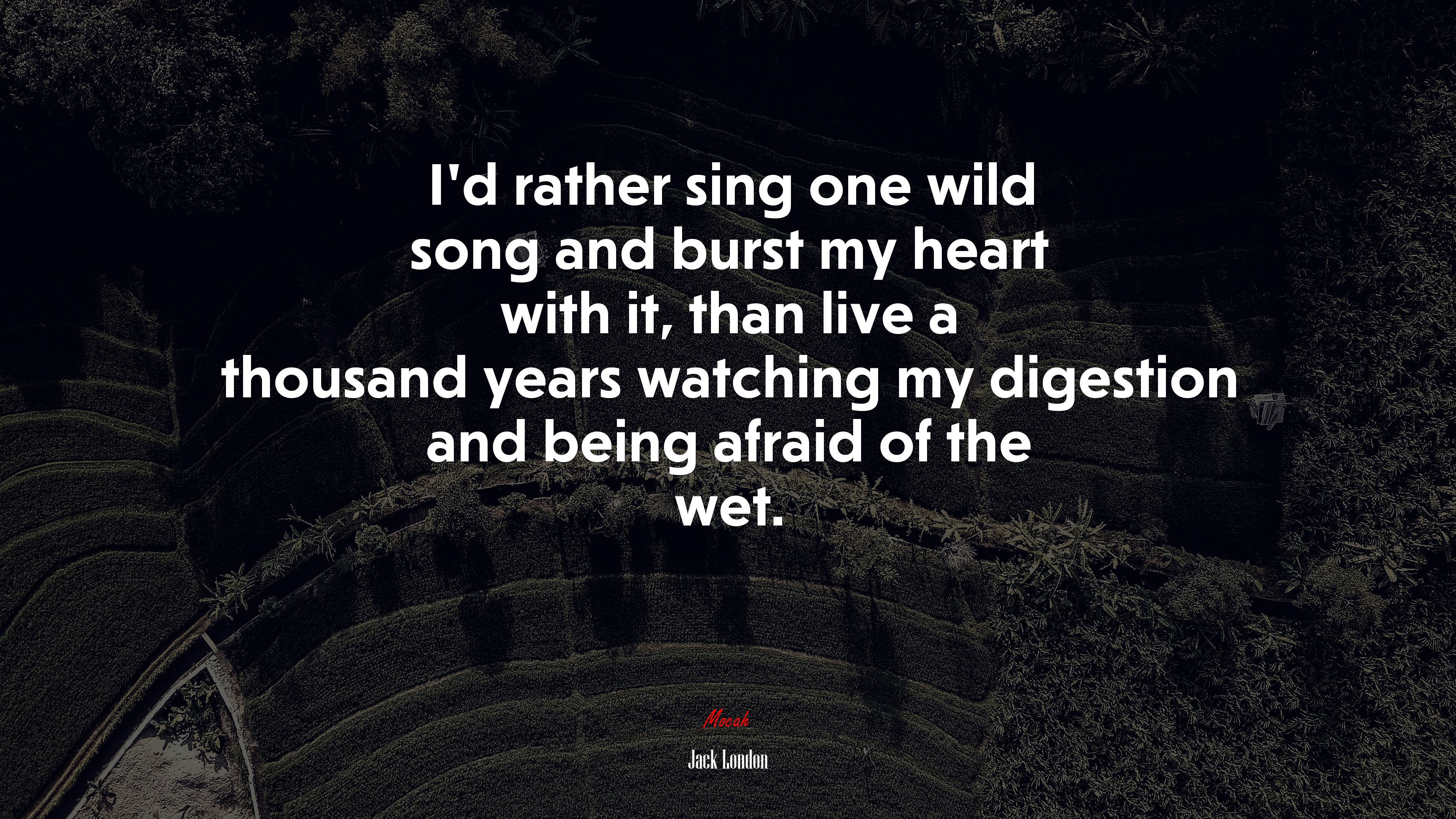 I’d rather sing one wild song and burst my heart with it, than live a thousand years watching my digestion and being afraid of the wet. | Jack London quote HD Wallpaper