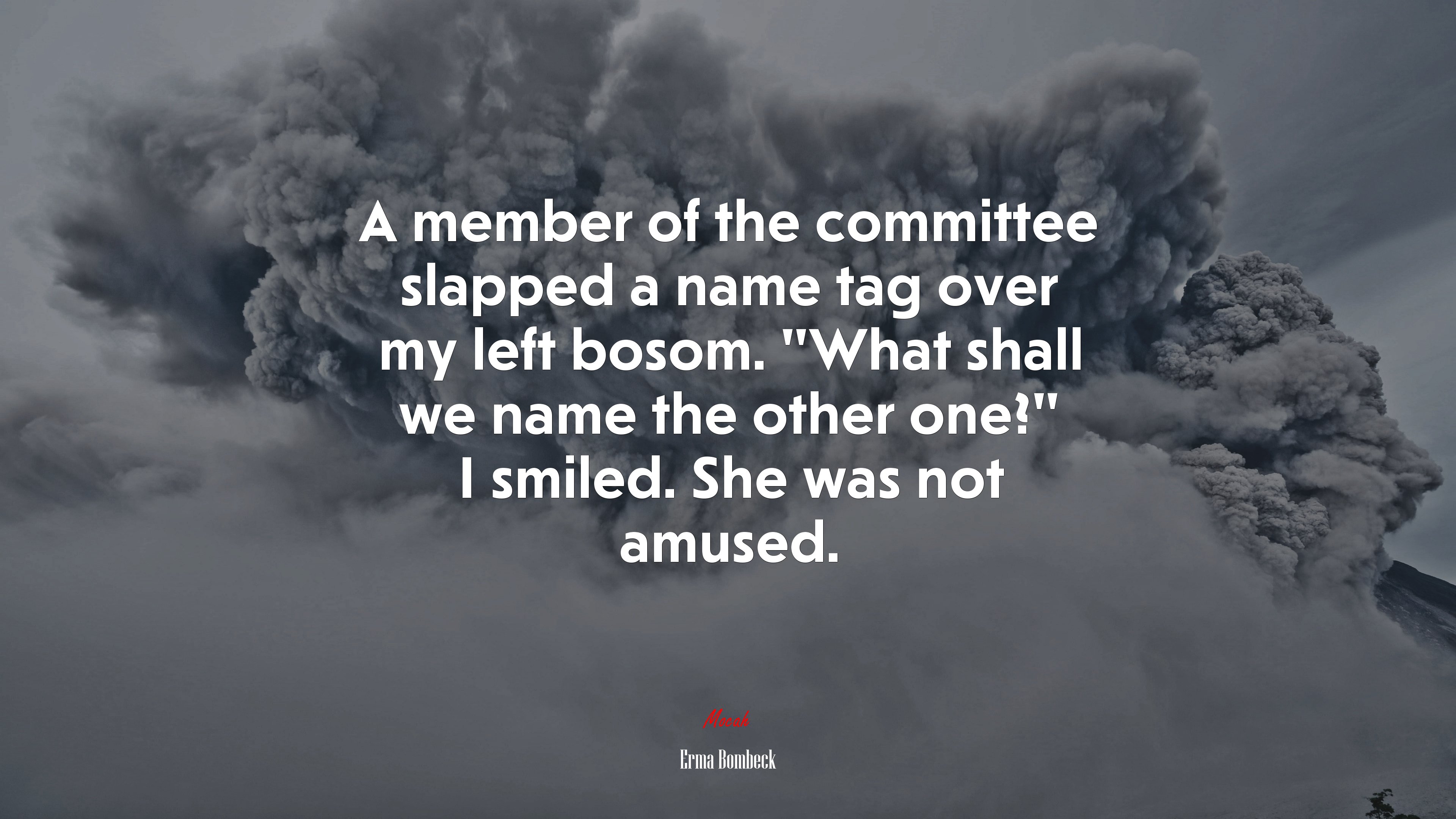 A member of the committee slapped a name tag over my left bosom. “What shall we name the other one?” I smiled. She was not amused. | Erma Bombeck quote HD Wallpaper