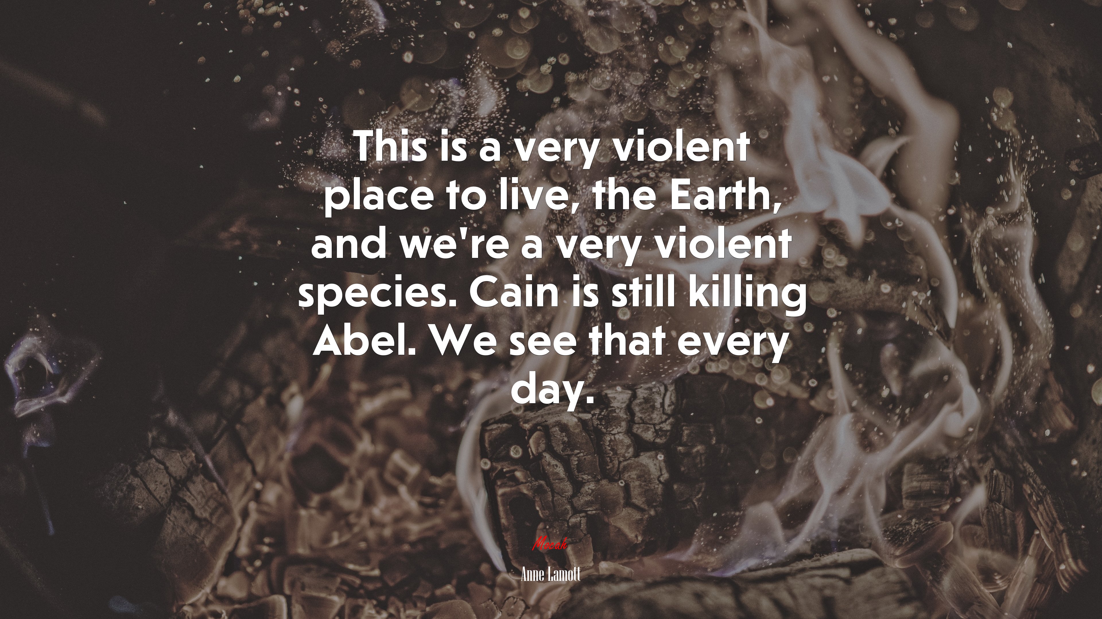 This is a very violent place to live, the Earth, and we’re a very violent species. Cain is still killing Abel. We see that every day. | Anne Lamott quote HD Wallpaper
