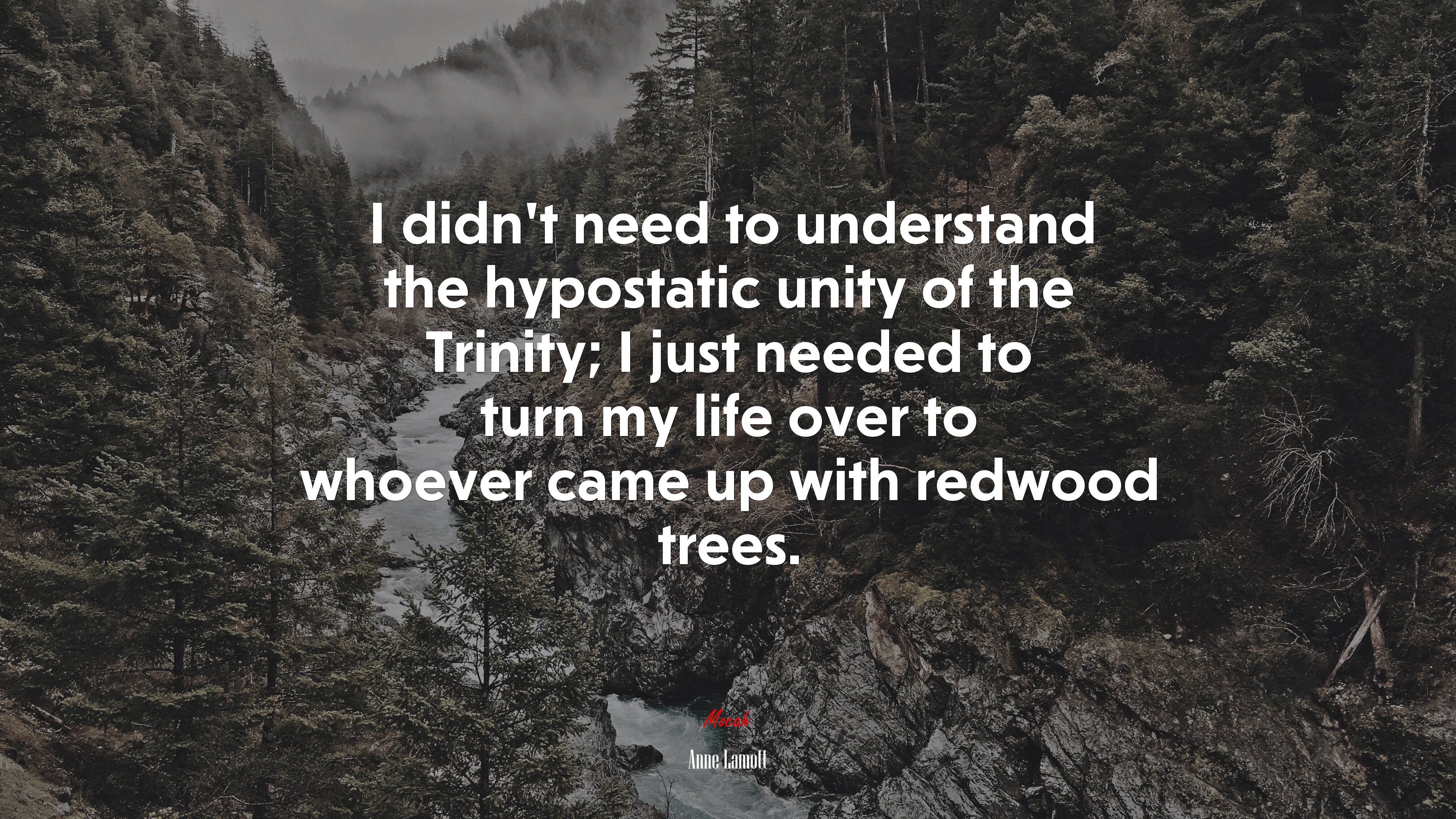 I didn’t need to understand the hypostatic unity of the Trinity; I just needed to turn my life over to whoever came up with redwood trees. | Anne Lamott quote HD Wallpaper