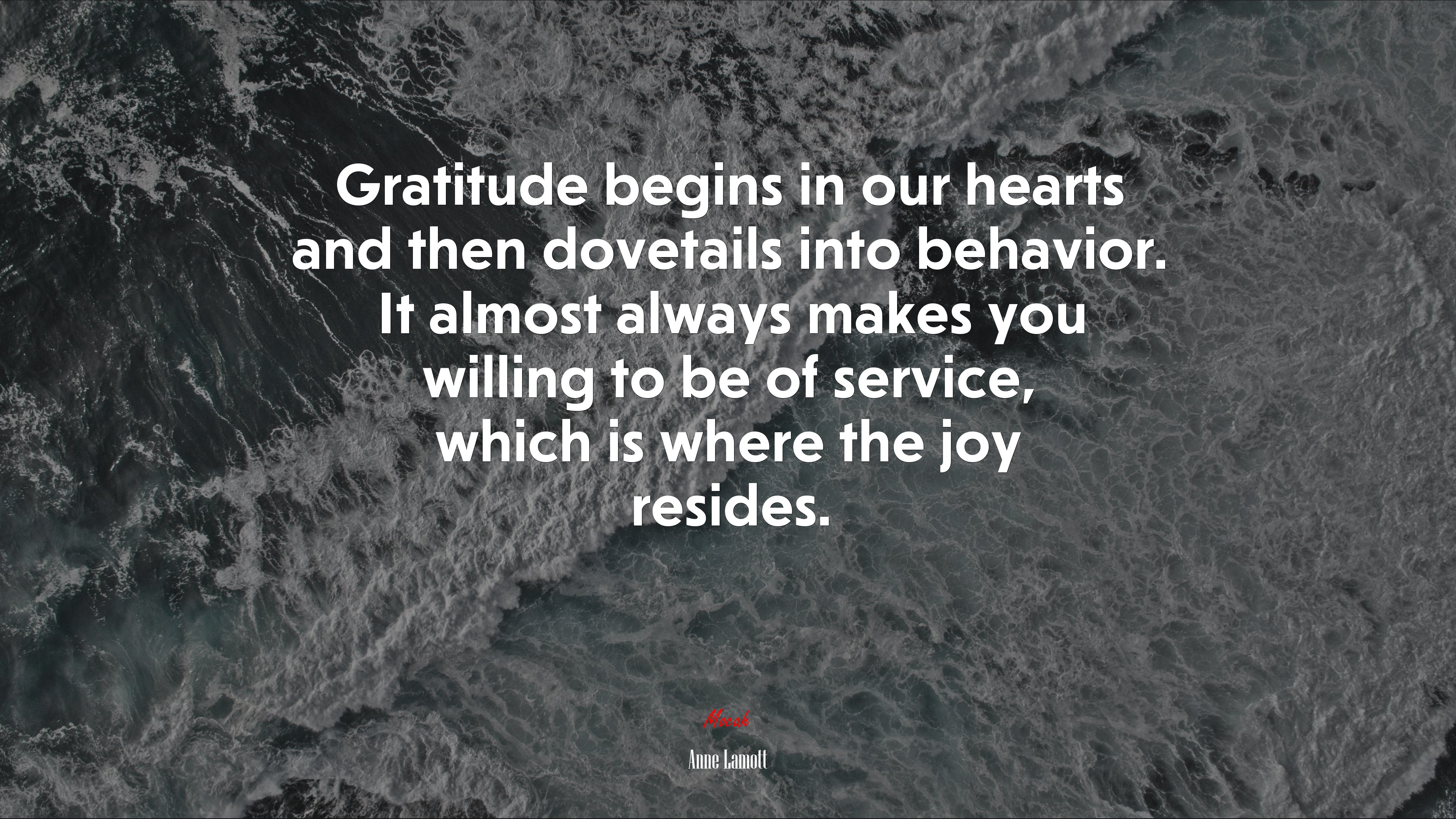 Gratitude begins in our hearts and then dovetails into behavior. It almost always makes you willing to be of service, which is where the joy resides. | Anne Lamott quote HD Wallpaper