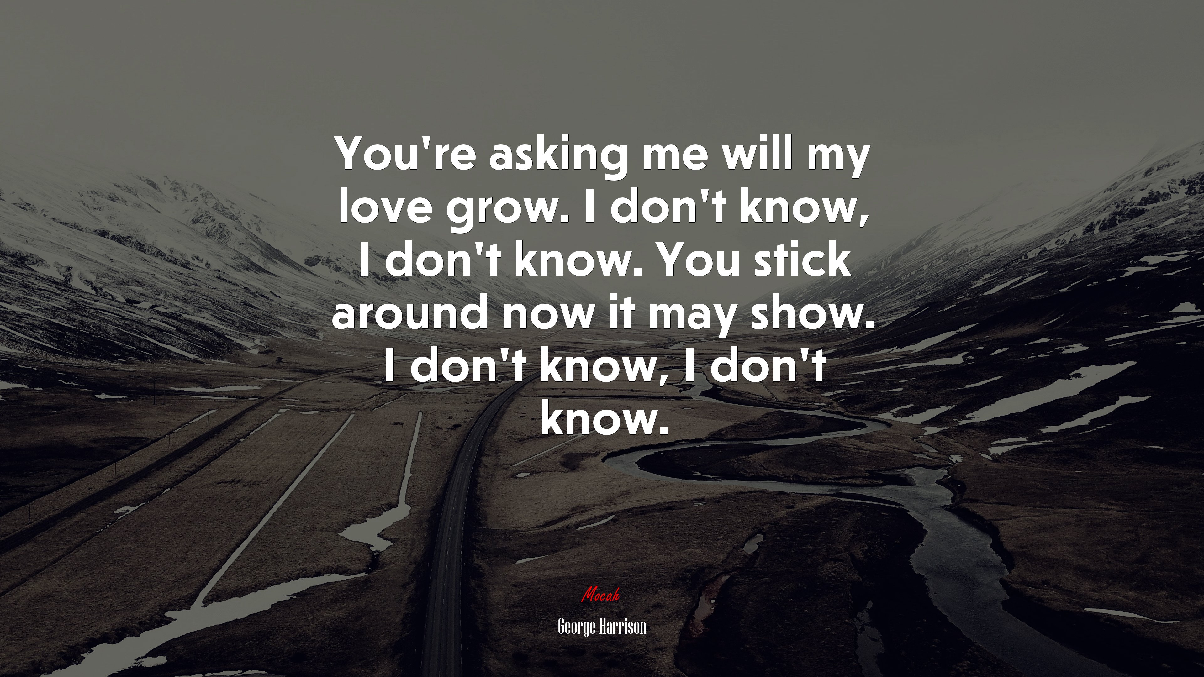 You’re asking me will my love grow. I don’t know, I don’t know. You stick around now it may show. I don’t know, I don’t know. | George Harrison quote HD Wallpaper