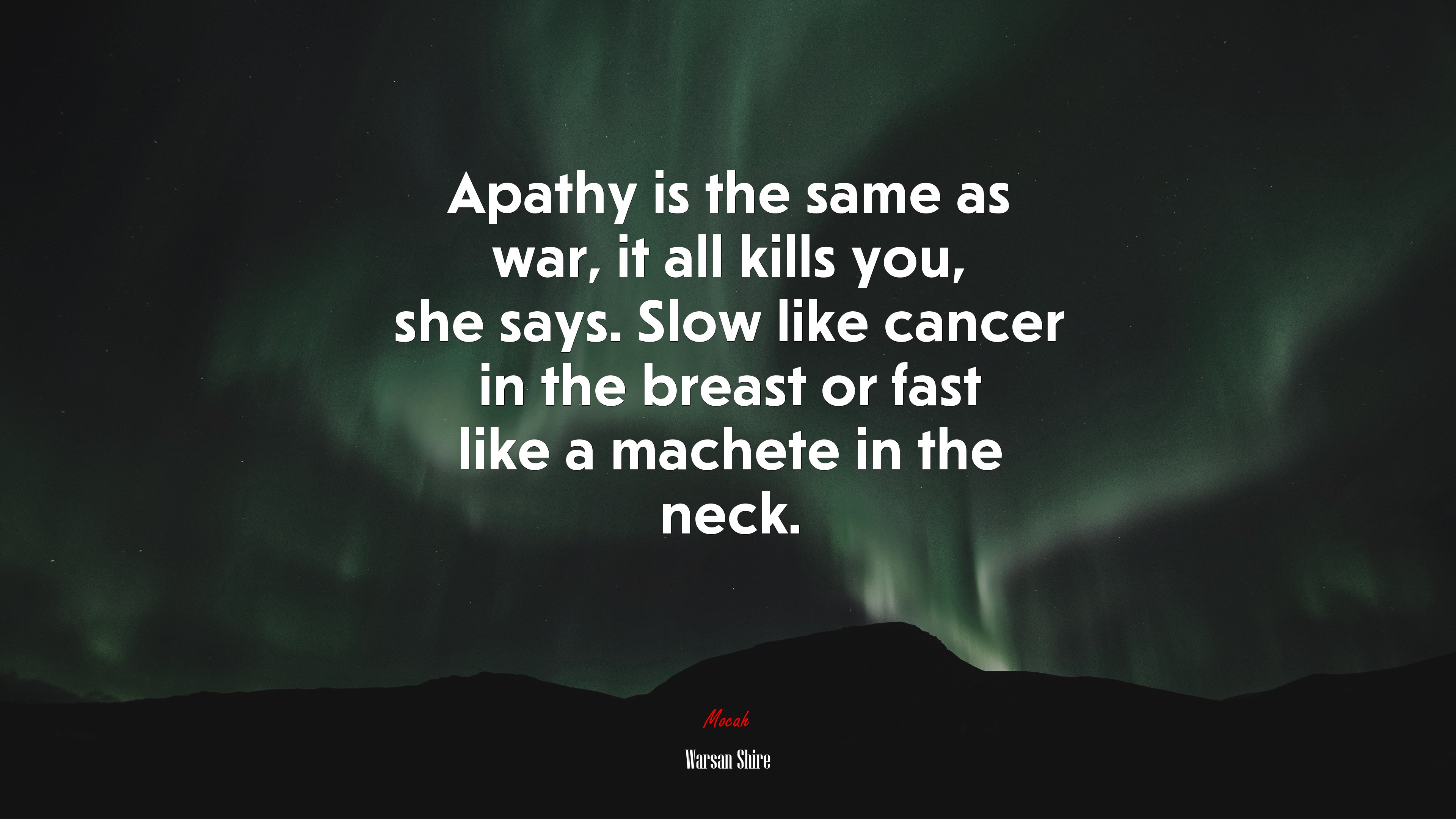 Apathy is the same as war, it all kills you, she says. Slow like cancer in the breast or fast like a machete in the neck. | Warsan Shire quote HD Wallpaper