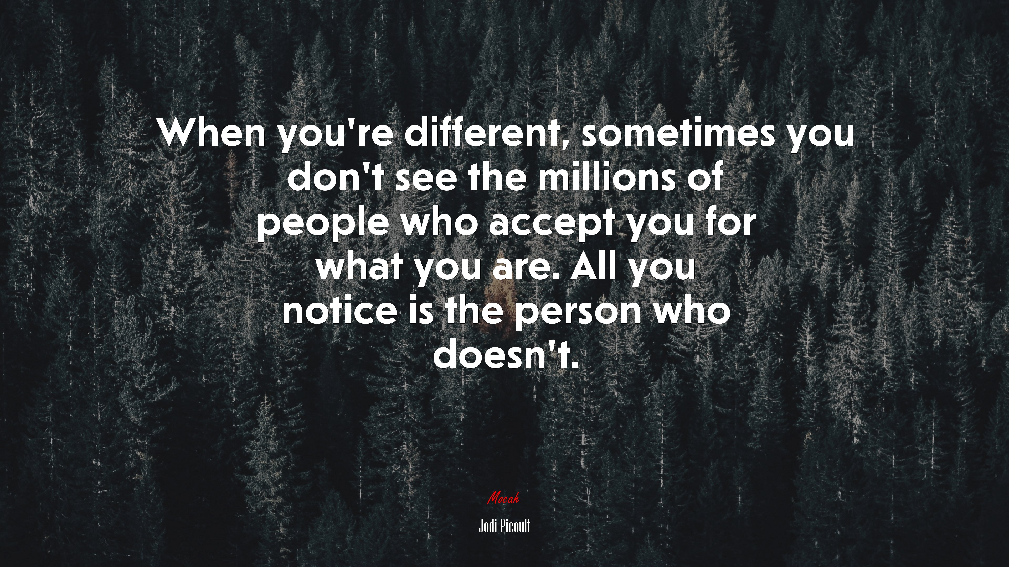 When you’re different, sometimes you don’t see the millions of people who accept you for what you are. All you notice is the person who doesn’t. | Jodi Picoult quote HD Wallpaper