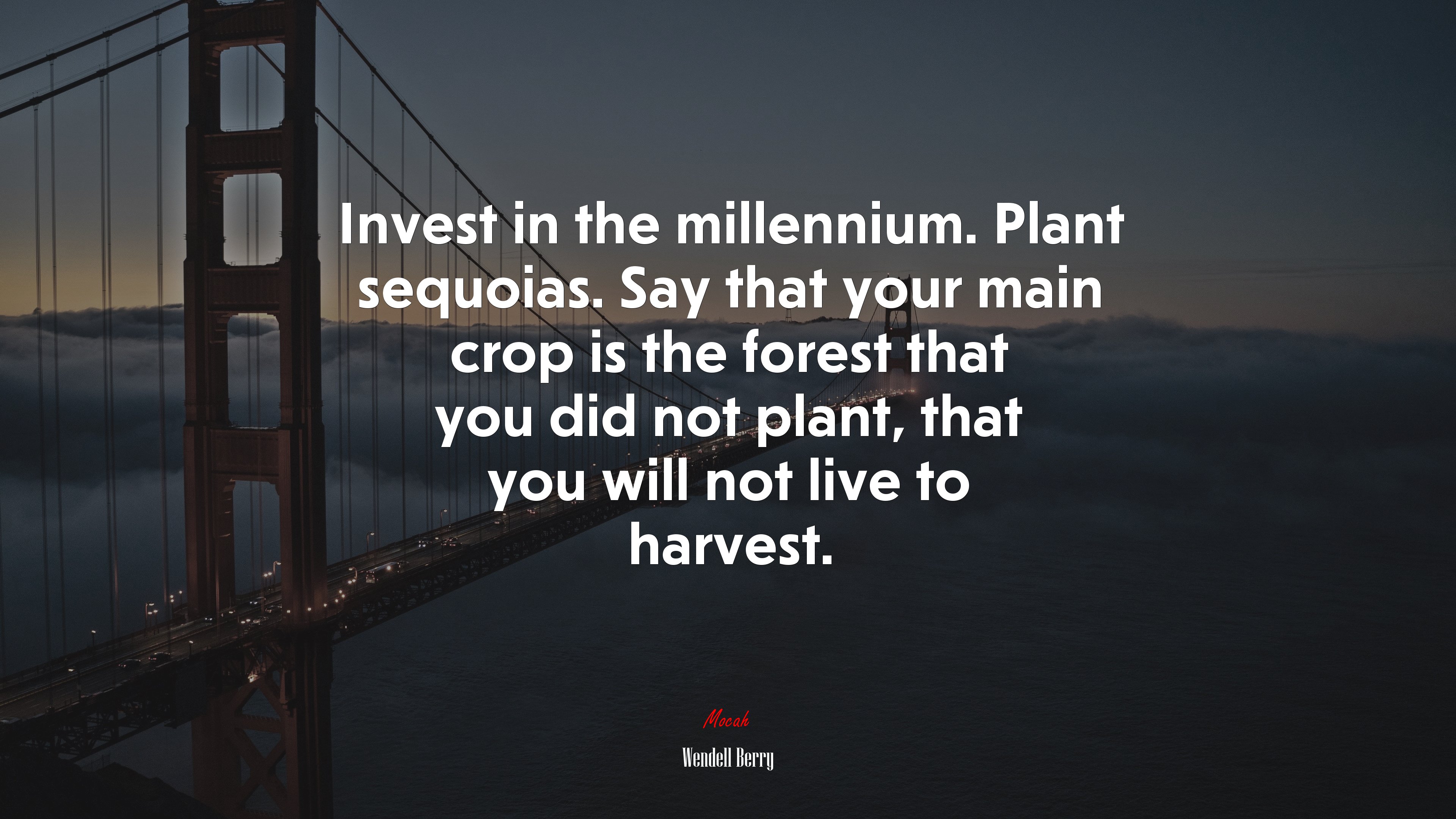 Invest in the millennium. Plant sequoias. Say that your main crop is the forest that you did not plant, that you will not live to harvest. | Wendell Berry quote HD Wallpaper