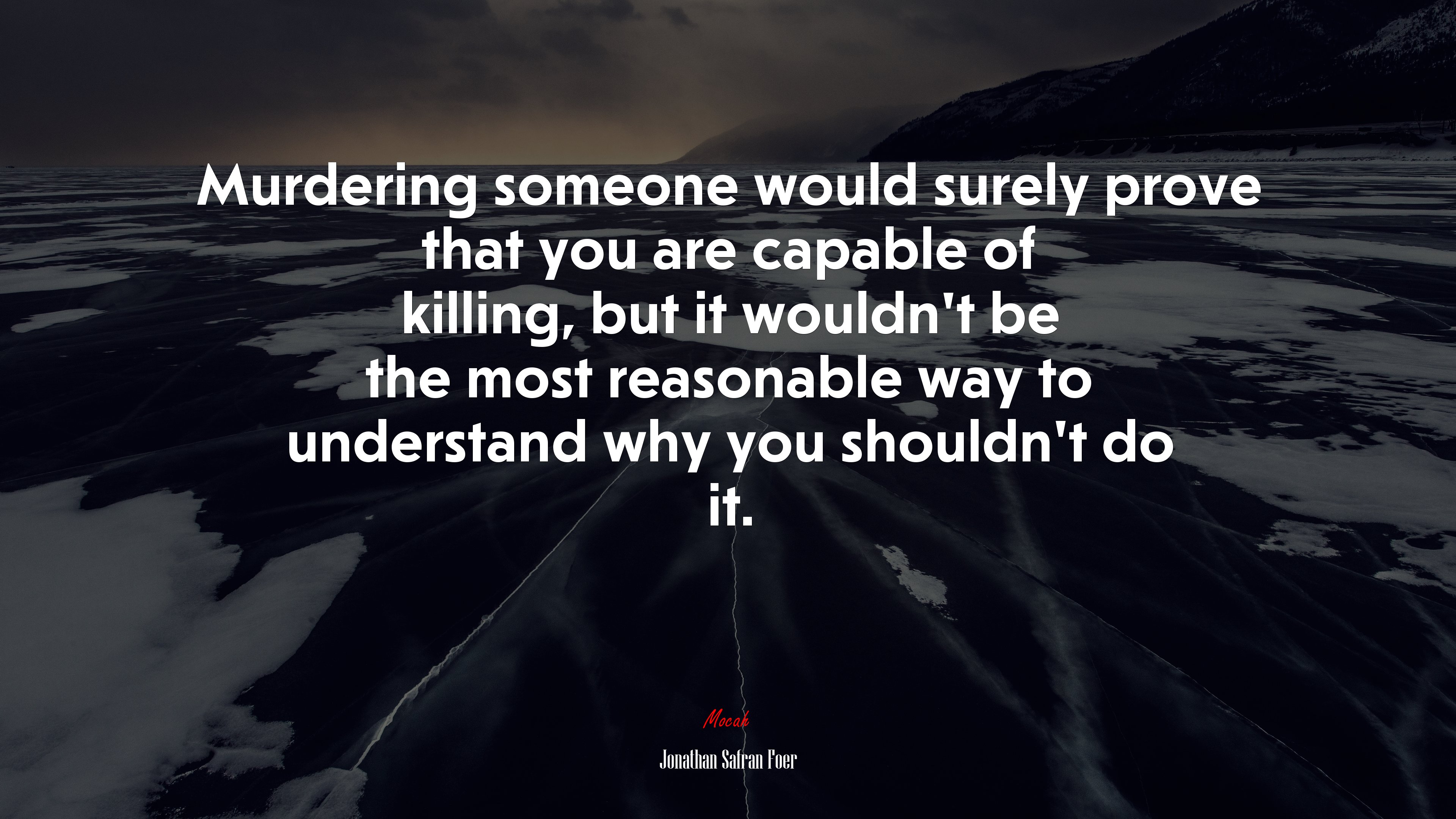 Murdering someone would surely prove that you are capable of killing, but it wouldn’t be the most reasonable way to understand why you shouldn’t do it. | Jonathan Safran Foer quote HD Wallpaper