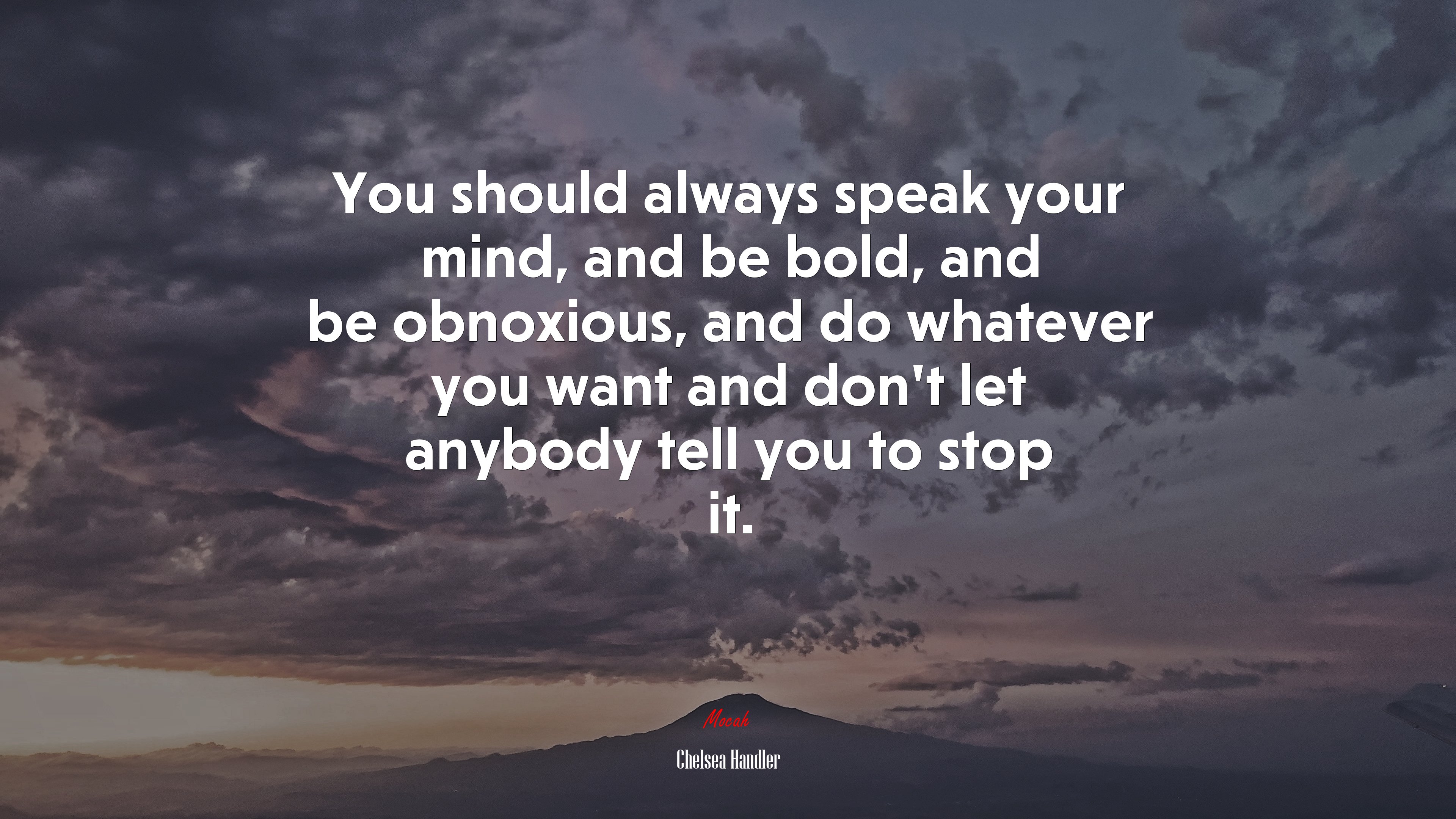 You should always speak your mind, and be bold, and be obnoxious, and do whatever you want and don’t let anybody tell you to stop it. | Chelsea Handler quote HD Wallpaper