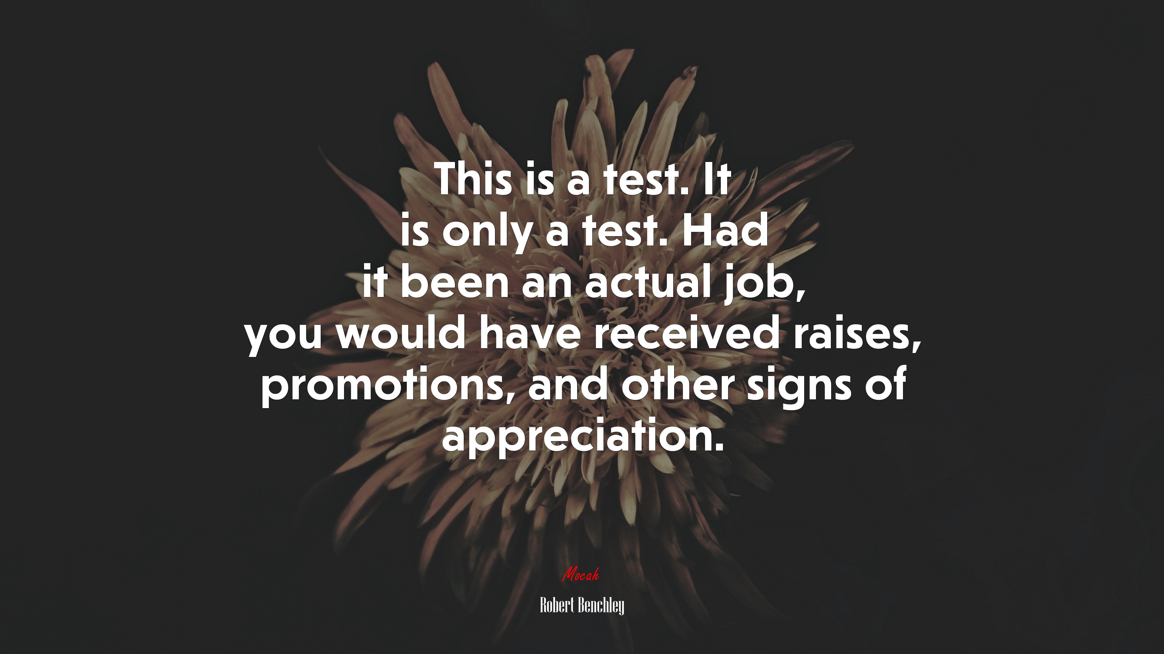 This is a test. It is only a test. Had it been an actual job, you would have received raises, promotions, and other signs of appreciation. | Robert Benchley quote HD Wallpaper