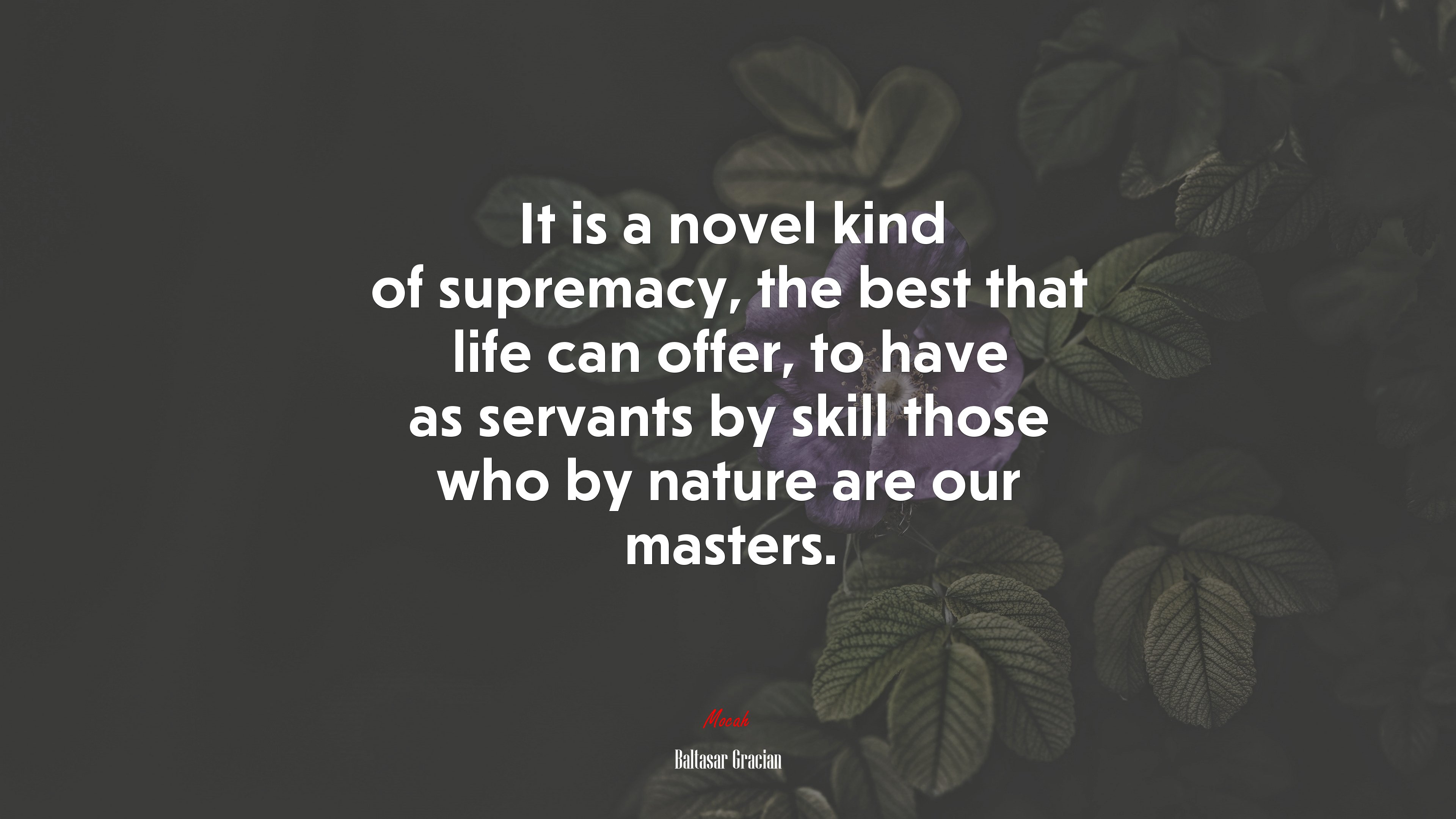 It is a novel kind of supremacy, the best that life can offer, to have as servants by skill those who by nature are our masters. | Baltasar Gracián quote HD Wallpaper
