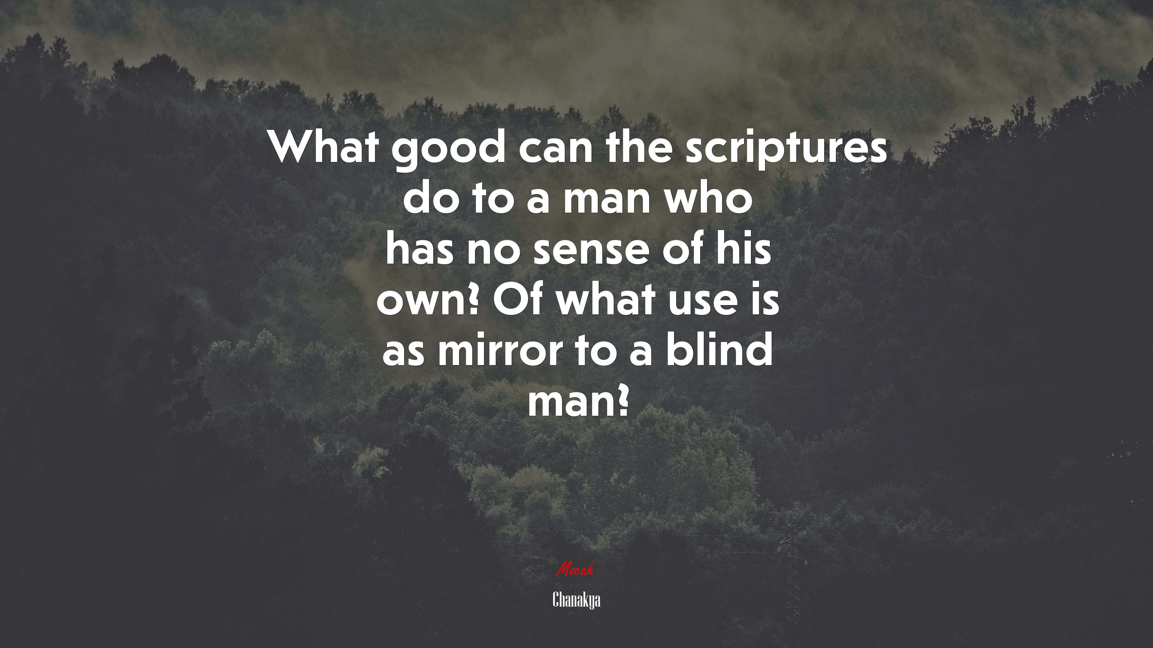 What good can the scriptures do to a man who has no sense of his own? Of what use is as mirror to a blind man? | Chanakya quote HD Wallpaper