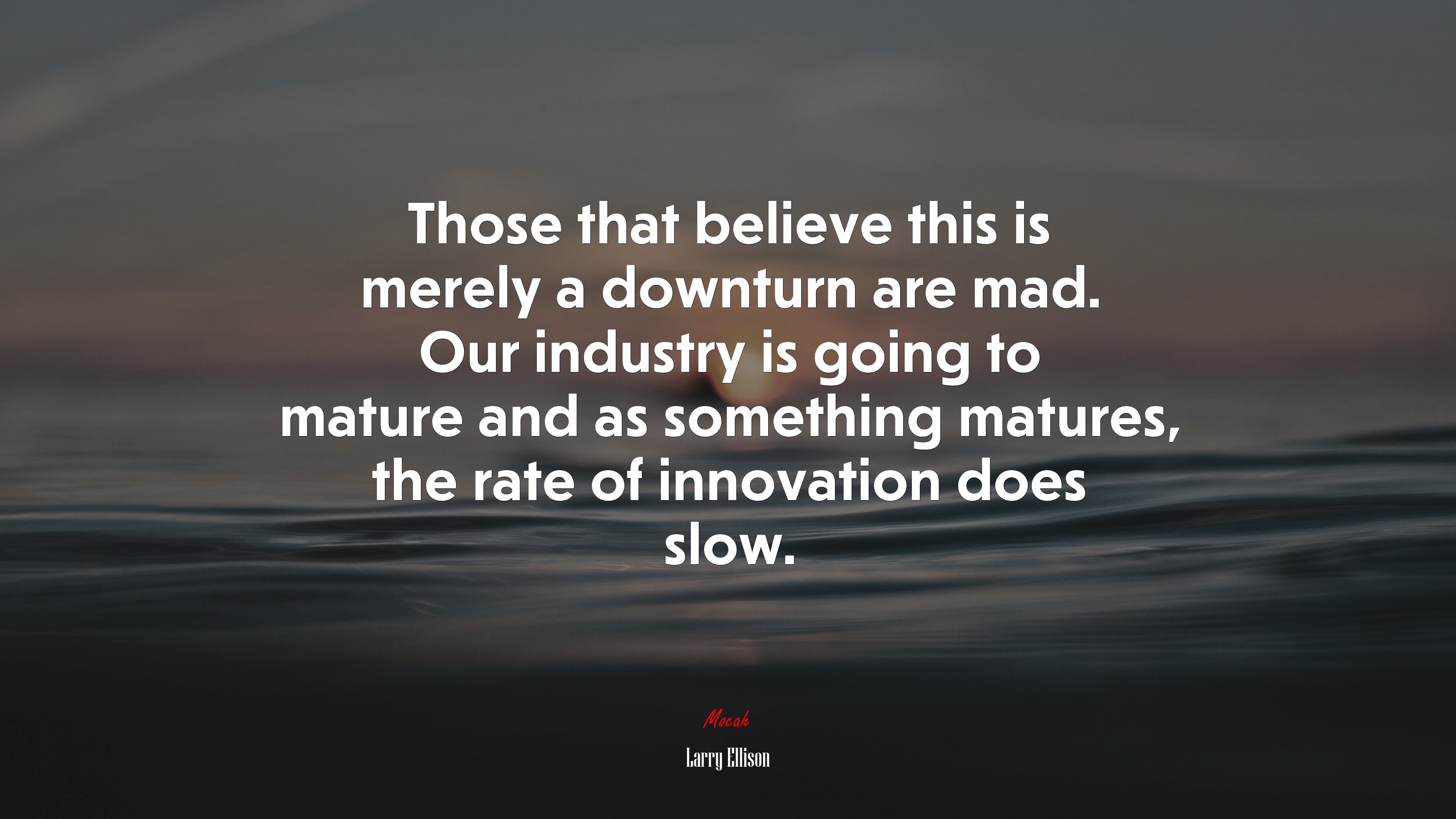 Those that believe this is merely a downturn are mad. Our industry is going to mature and as something matures, the rate of innovation does slow. | Larry Ellison quote HD Wallpaper