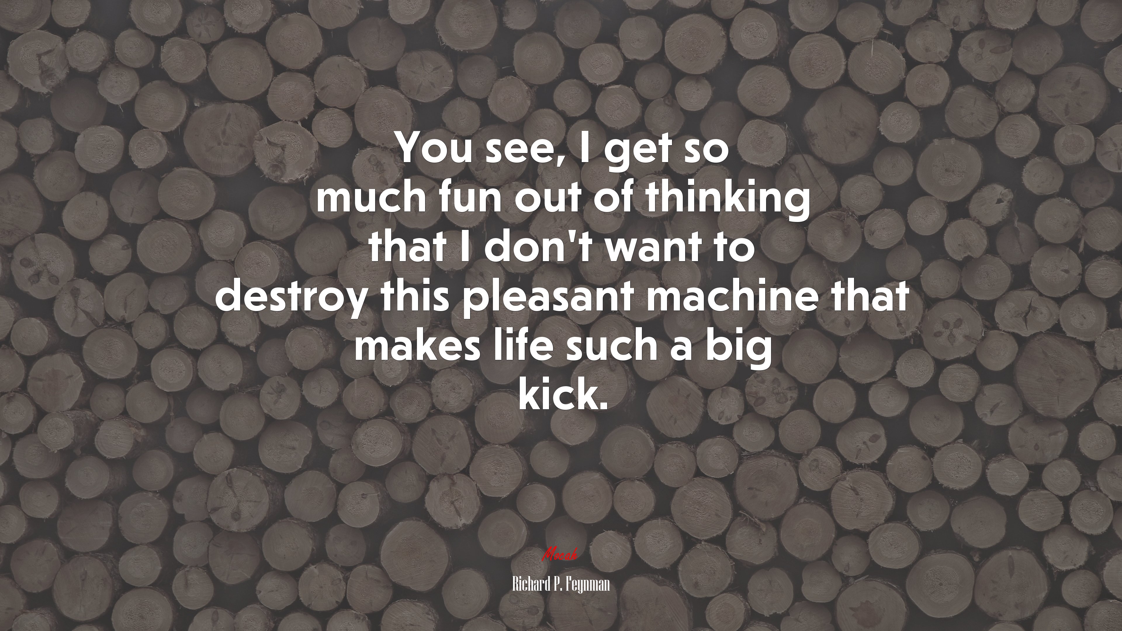 You see, I get so much fun out of thinking that I don’t want to destroy this pleasant machine that makes life such a big kick. | Richard P. Feynman quote HD Wallpaper