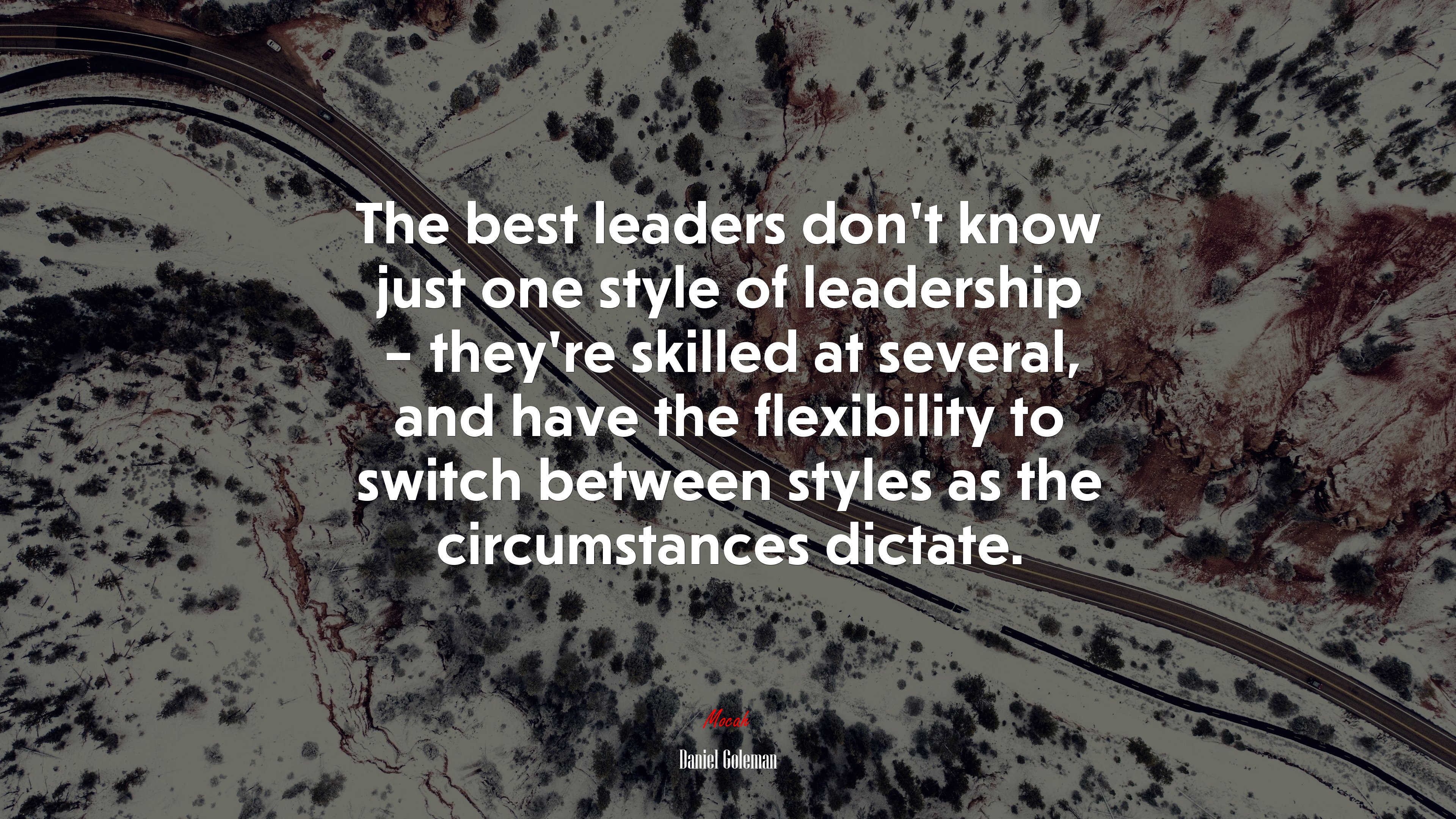 The best leaders don’t know just one style of leadership – they’re skilled at several, and have the flexibility to switch between styles as the circumstances dictate. | Daniel Goleman quote HD Wallpaper