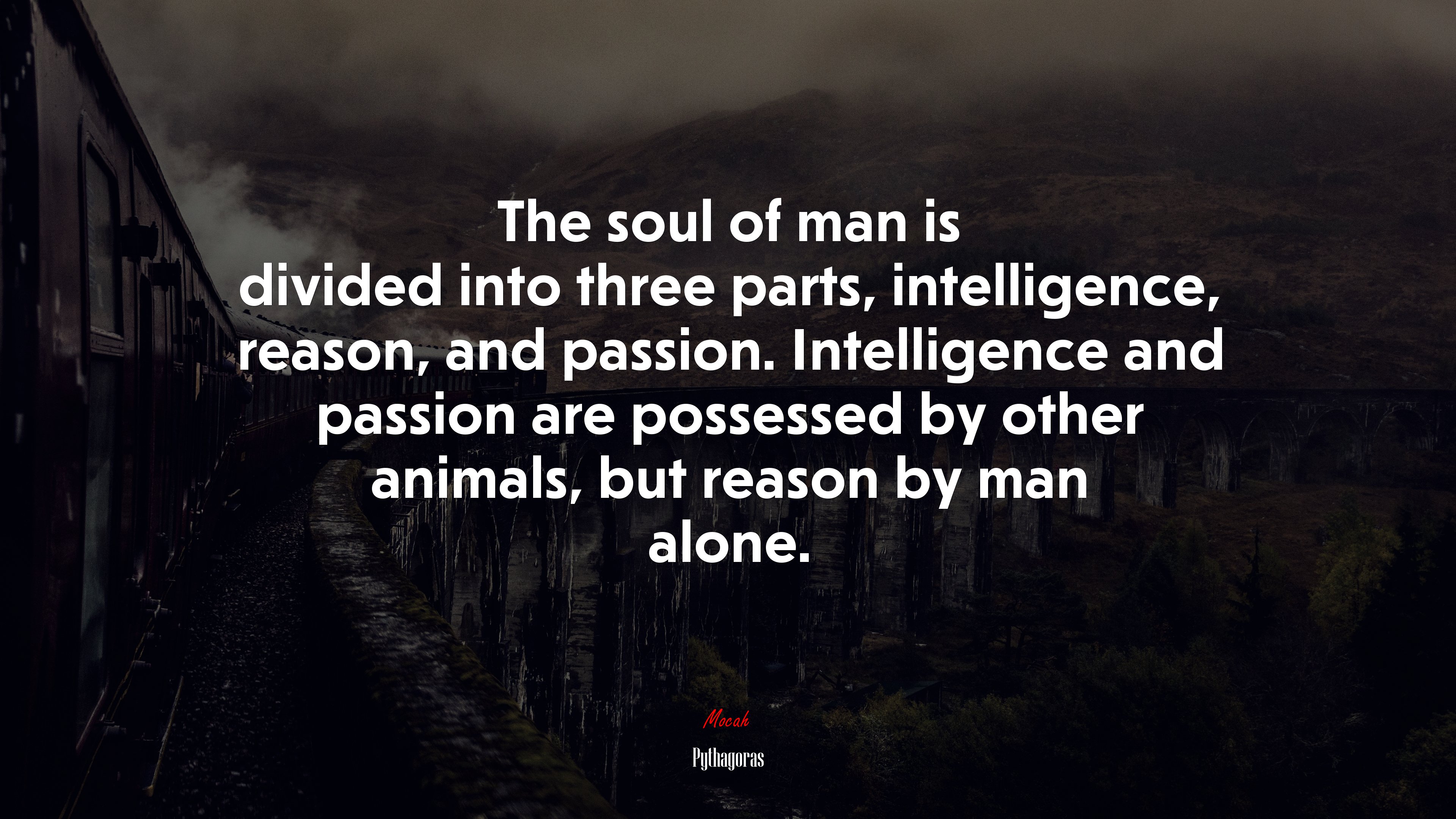 The soul of man is divided into three parts, intelligence, reason, and passion. Intelligence and passion are possessed by other animals, but reason by man alone. | Pythagoras quote HD Wallpaper