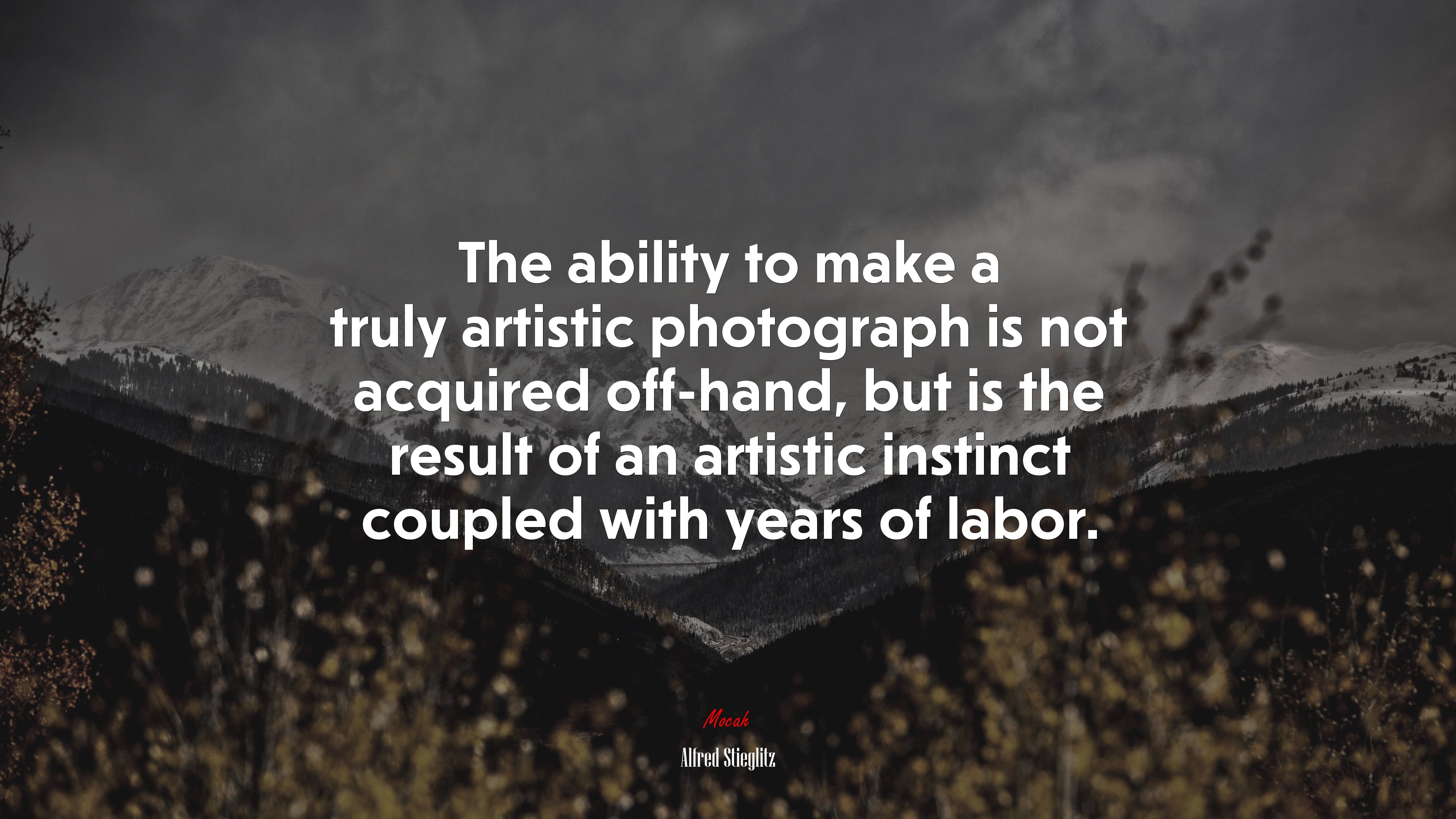 The ability to make a truly artistic photograph is not acquired off-hand, but is the result of an artistic instinct coupled with years of labor. | Alfred Stieglitz quote HD Wallpaper