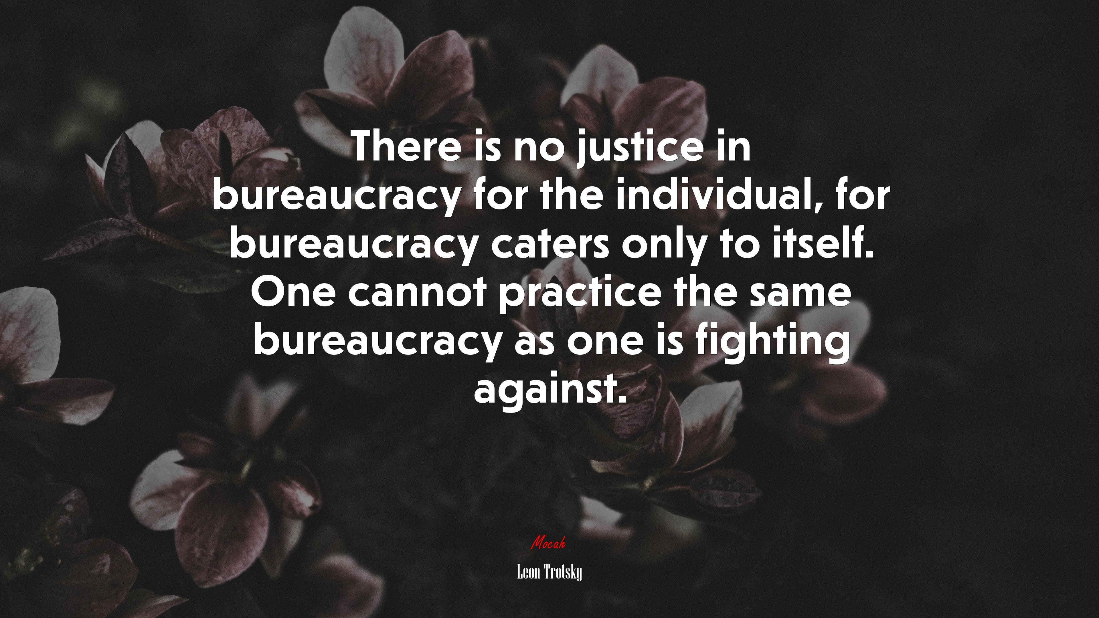 There is no justice in bureaucracy for the individual, for bureaucracy caters only to itself. One cannot practice the same bureaucracy as one is fighting against. | Leon Trotsky quote HD Wallpaper