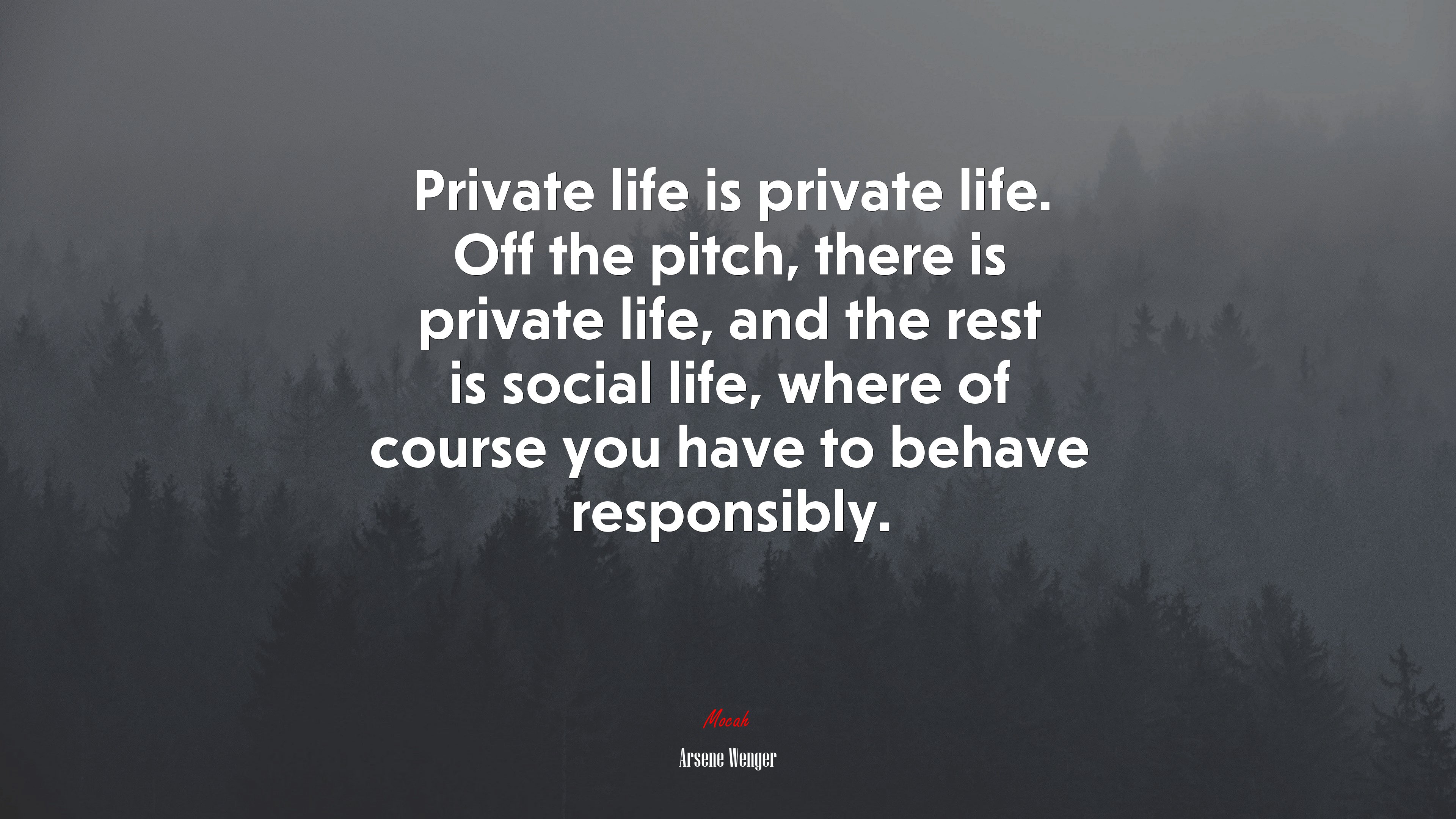 Private life is private life. Off the pitch, there is private life, and the rest is social life, where of course you have to behave responsibly. | Arsene Wenger quote HD Wallpaper