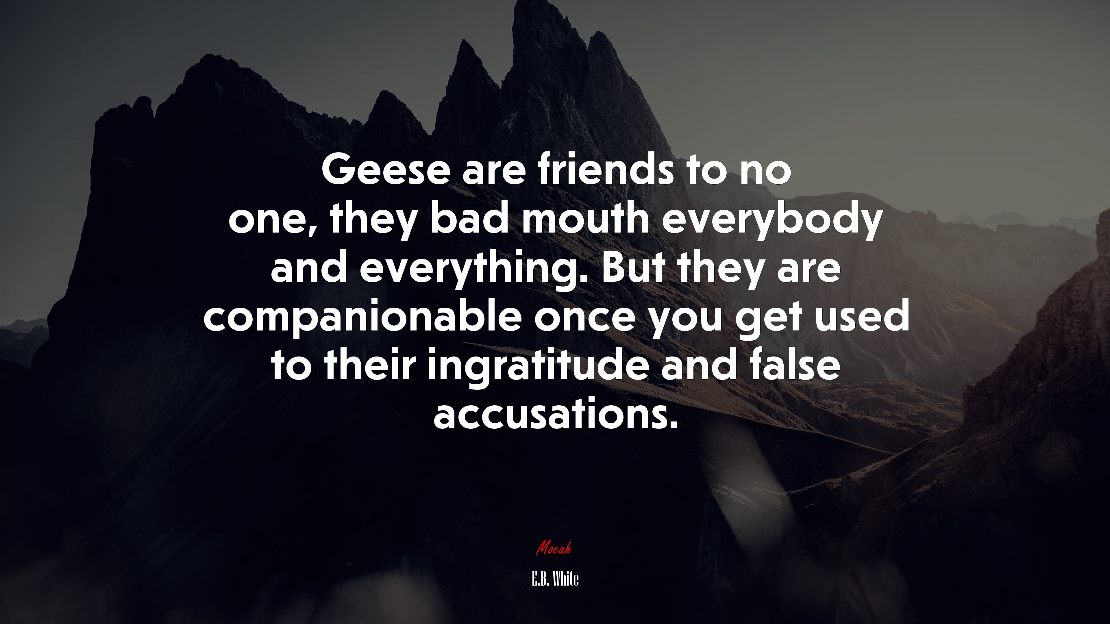 Geese are friends to no one, they bad mouth everybody and everything. But they are companionable once you get used to their ingratitude and false accusations. | E.B. White quote HD Wallpaper