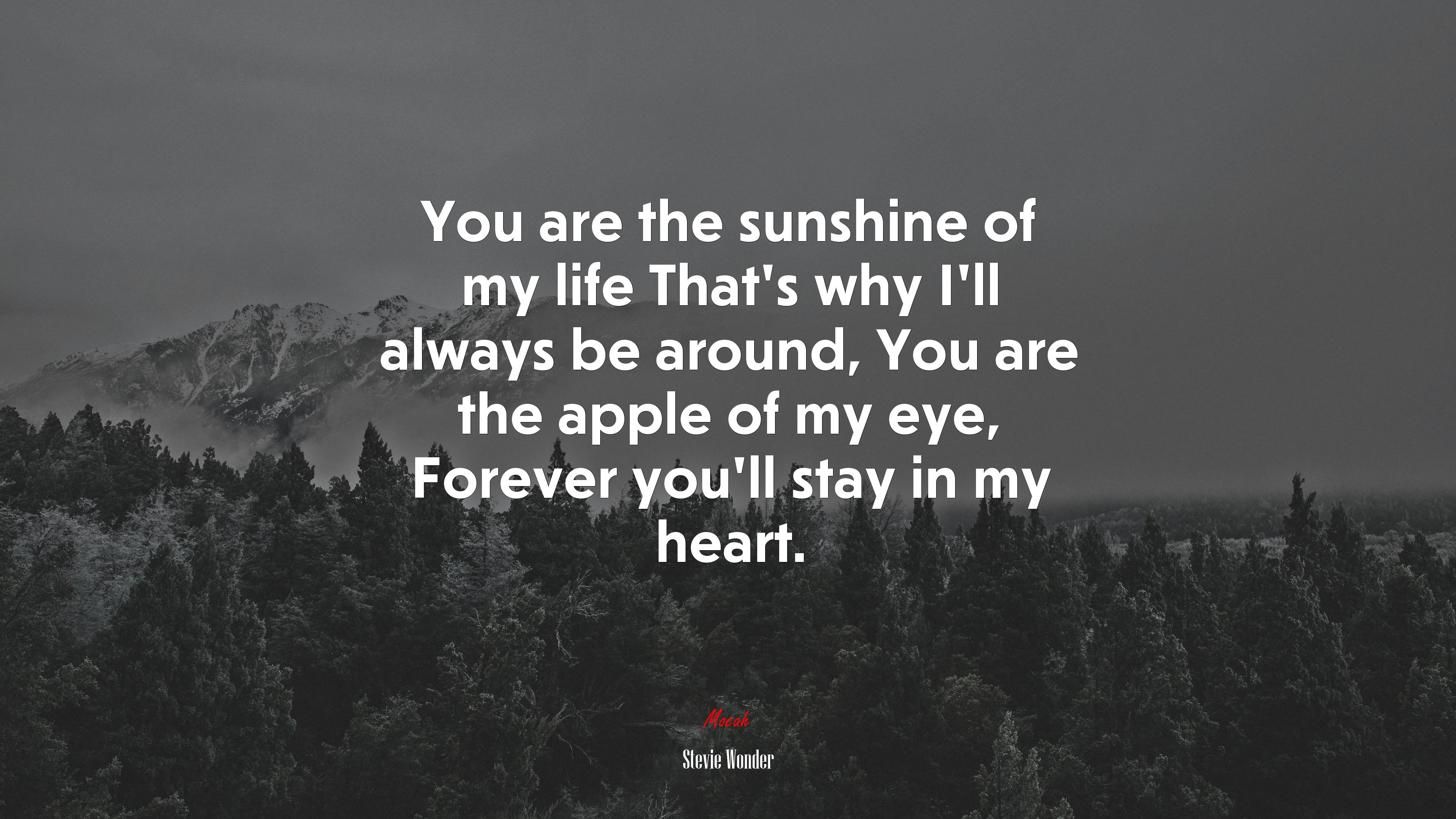 You are the sunshine of my life That’s why I’ll always be around, You are the apple of my eye, Forever you’ll stay in my heart. | Stevie Wonder quote HD Wallpaper