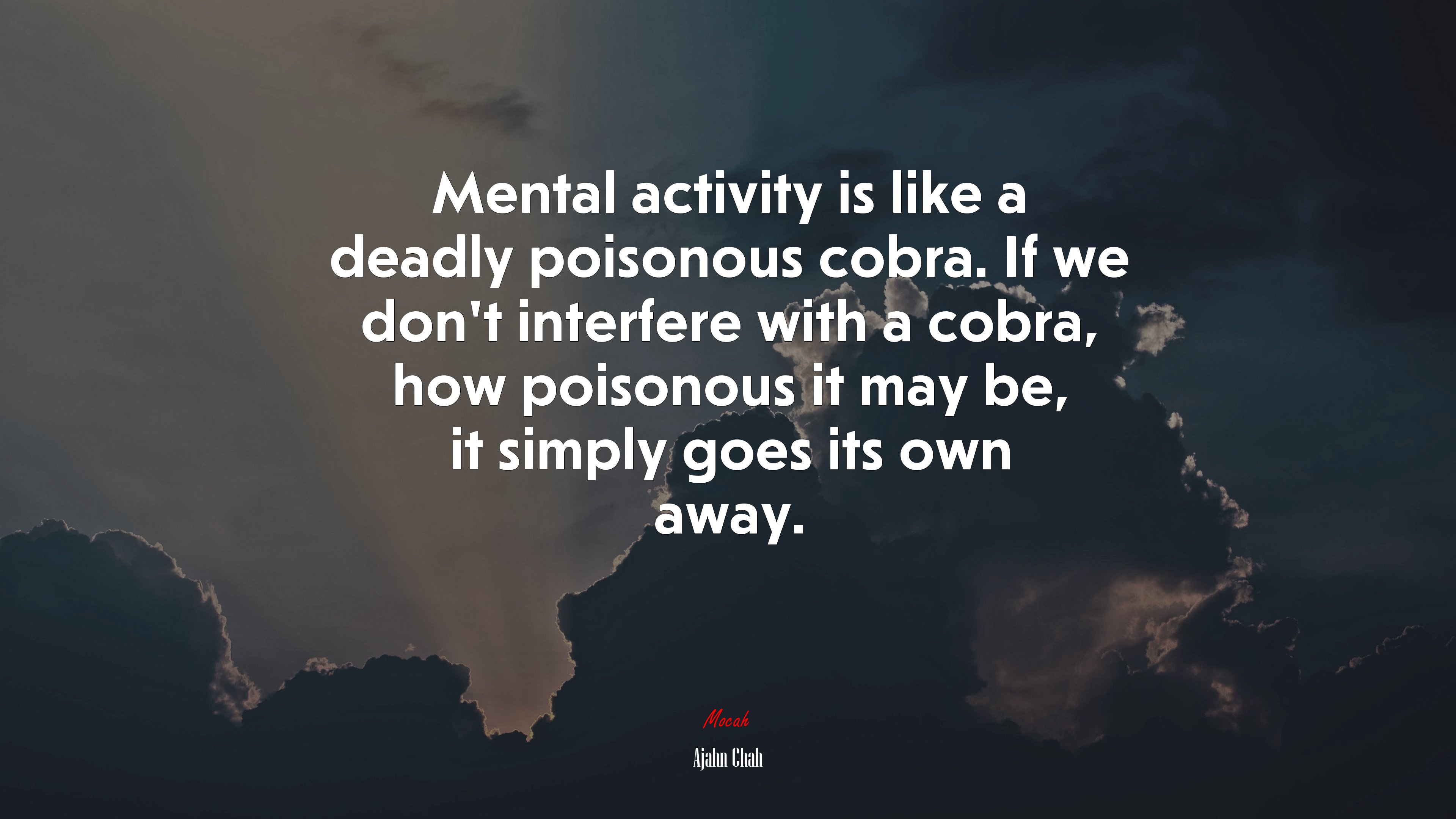 Mental activity is like a deadly poisonous cobra. If we don’t interfere with a cobra, how poisonous it may be, it simply goes its own away. | Ajahn Chah quote HD Wallpaper