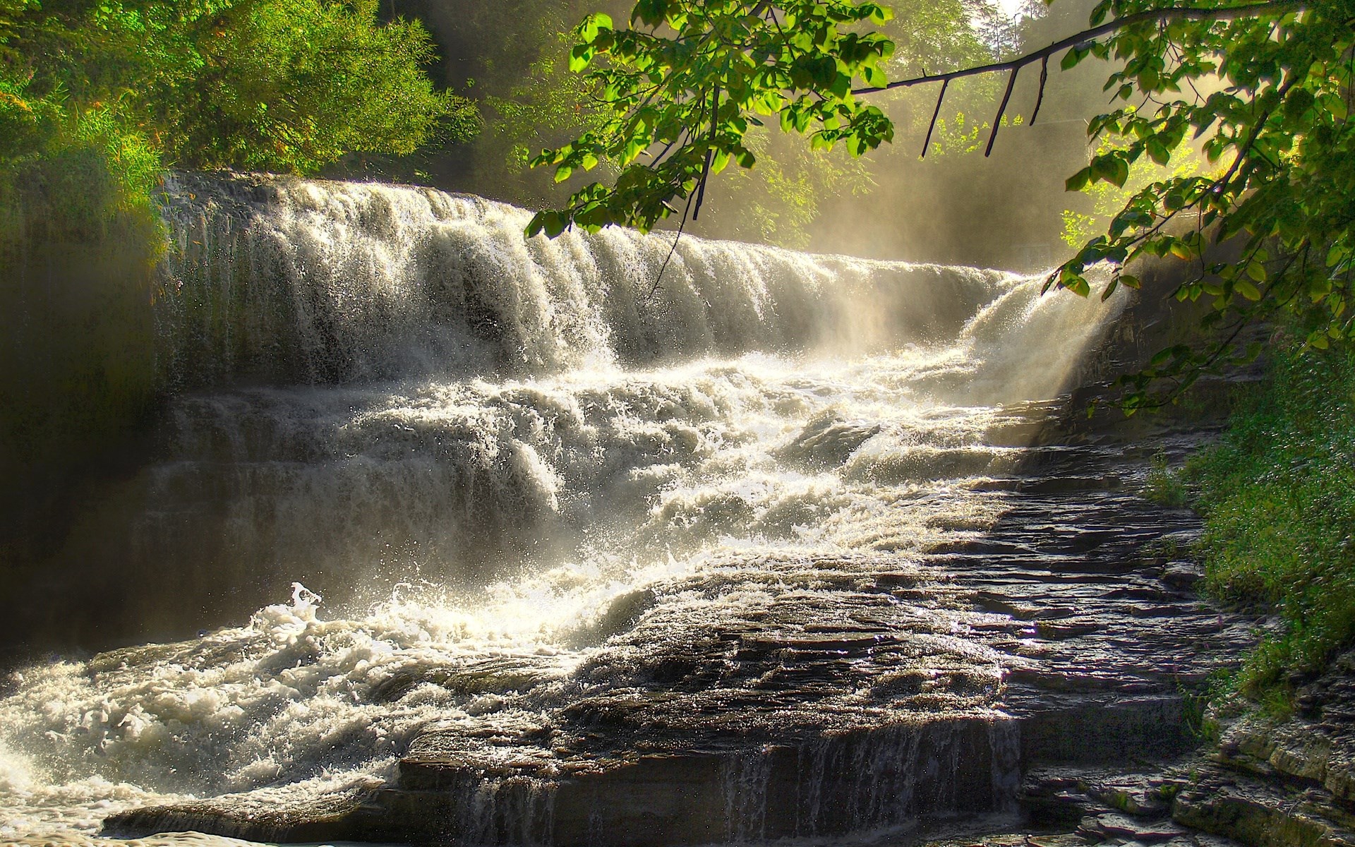 Waterfall cascading over layered rocks in a forest HD Wallpaper
