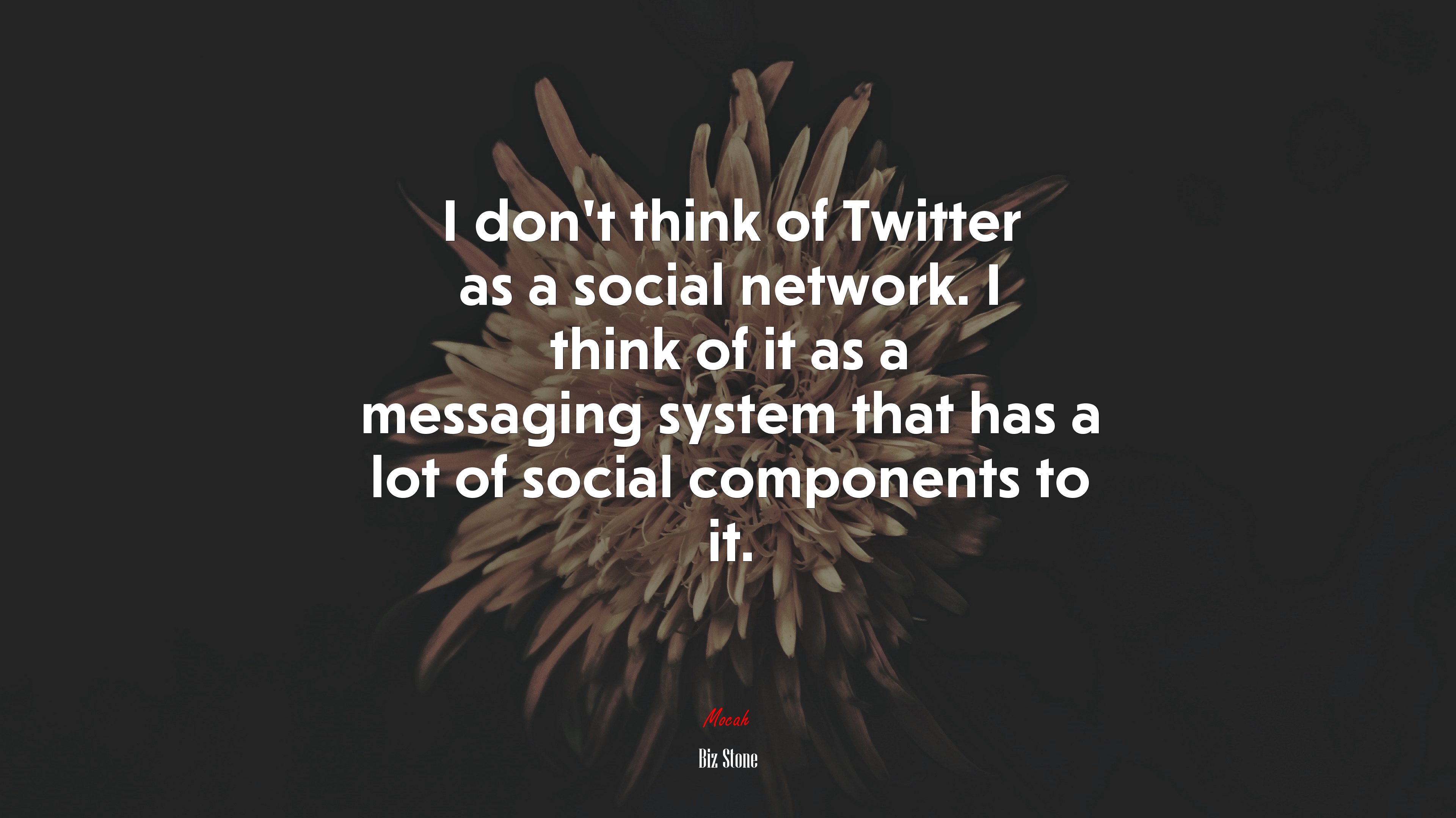 I don’t think of Twitter as a social network. I think of it as a messaging system that has a lot of social components to it. | Biz Stone quote HD Wallpaper