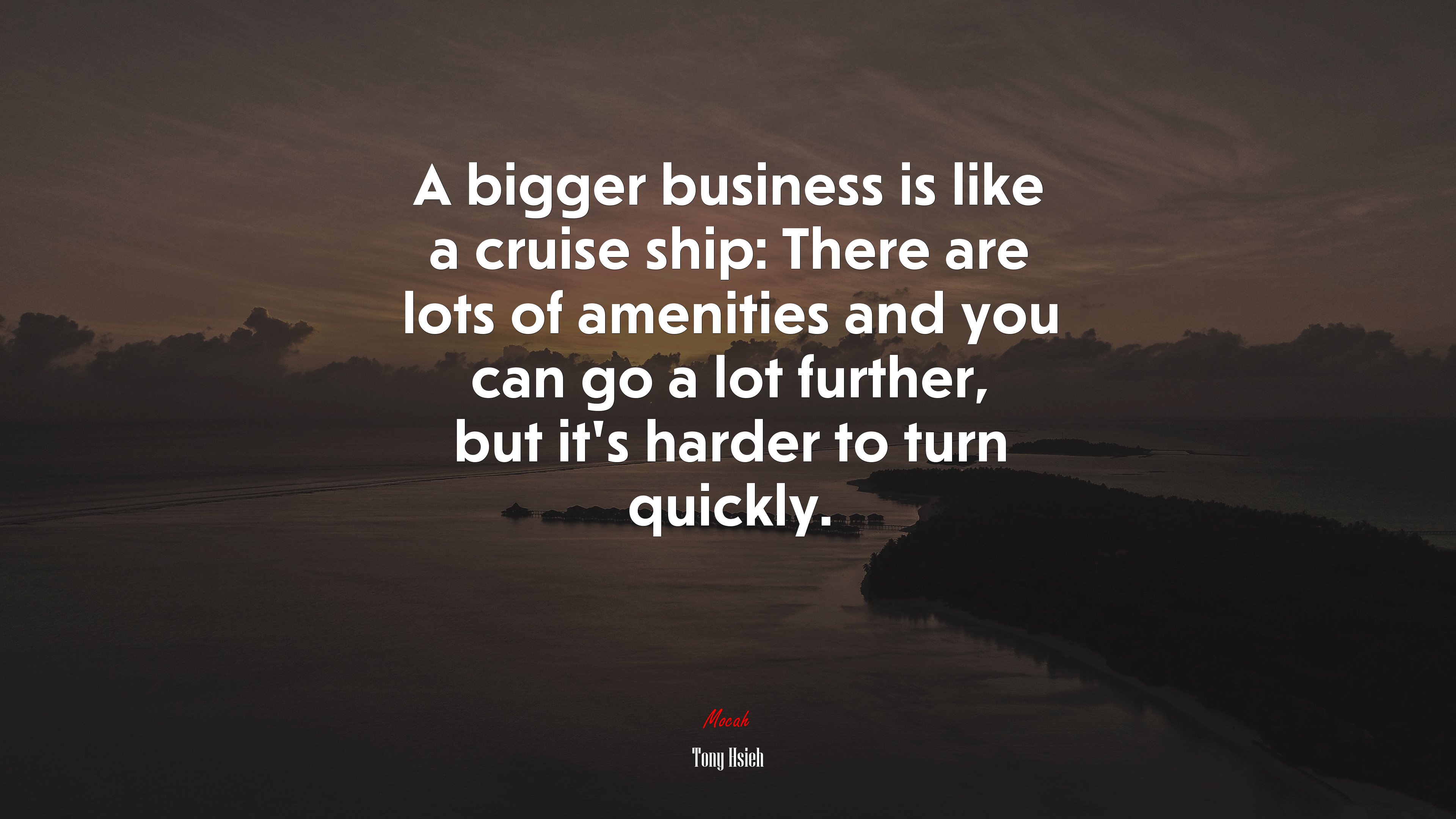 A bigger business is like a cruise ship: There are lots of amenities and you can go a lot further, but it’s harder to turn quickly. | Tony Hsieh quote HD Wallpaper