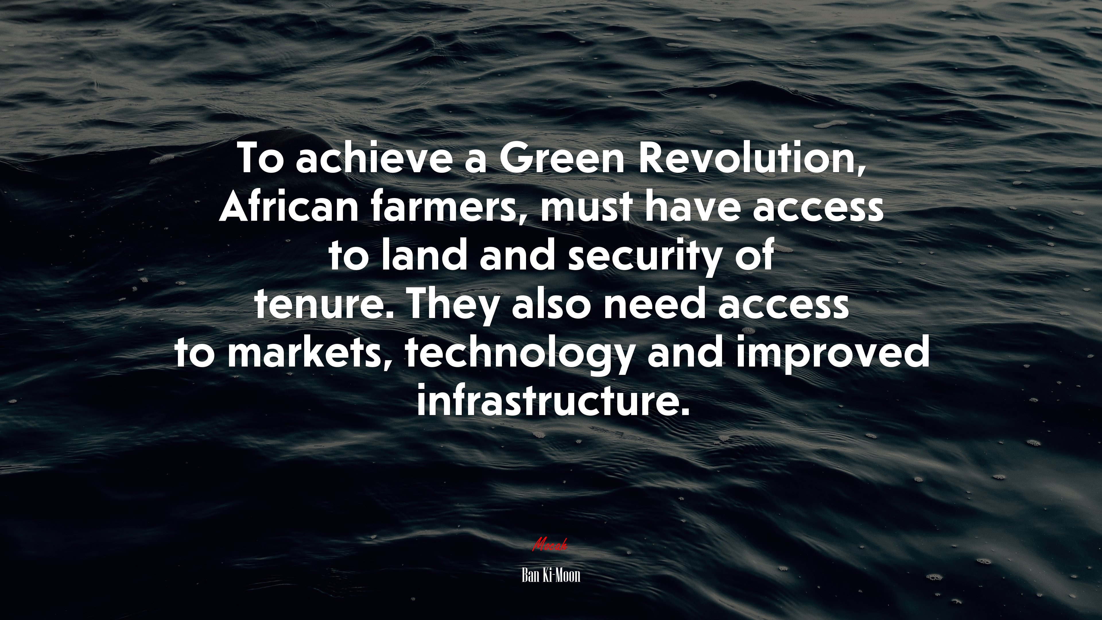 To achieve a Green Revolution, African farmers, must have access to land and security of tenure. They also need access to markets, technology and improved infrastructure. | Ban Ki-Moon quote HD Wallpaper
