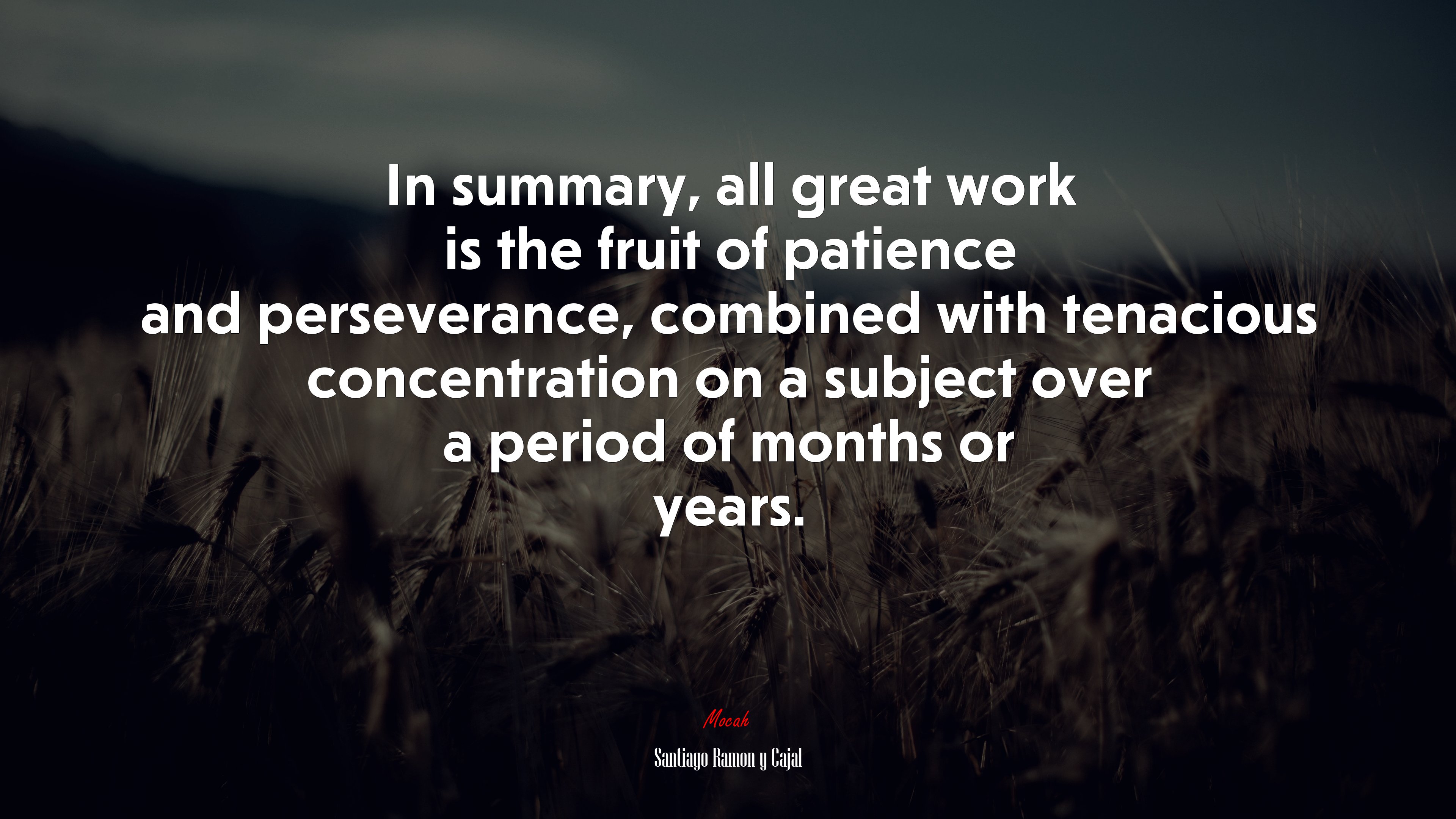 In summary, all great work is the fruit of patience and perseverance, combined with tenacious concentration on a subject over a period of months or years. | Santiago Ramón y Cajal quote HD Wallpaper
