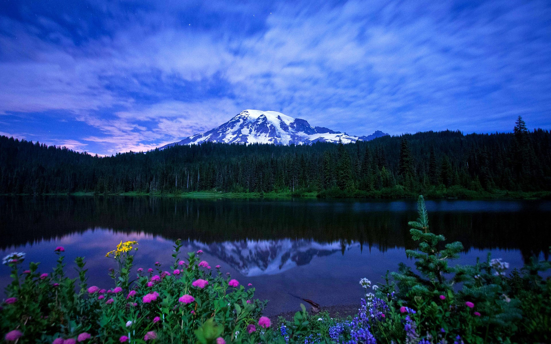 Mount Rainier reflected in a lake at night HD Wallpaper