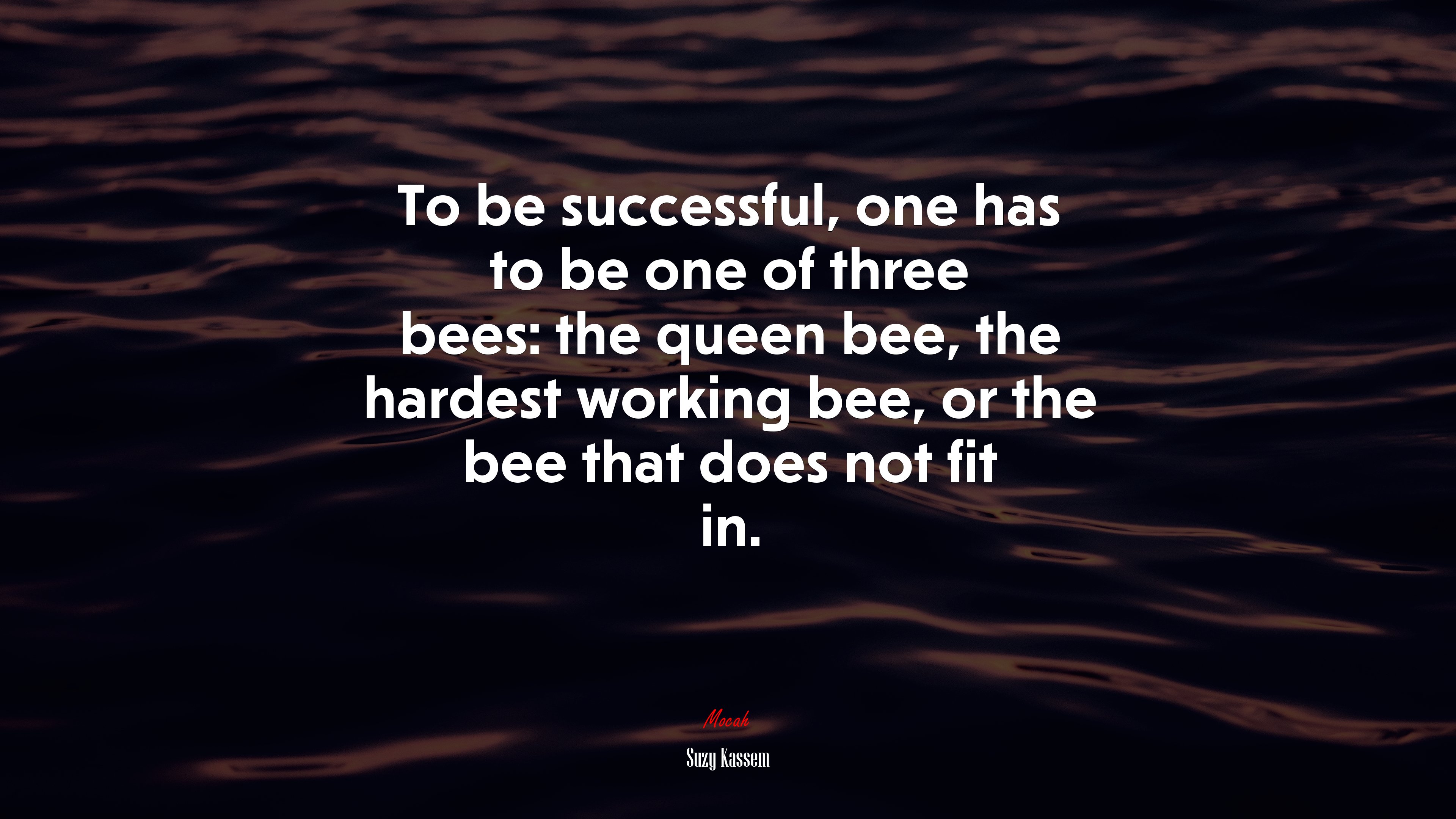 To be successful, one has to be one of three bees: the queen bee, the hardest working bee, or the bee that does not fit in. | Suzy Kassem quote HD Wallpaper