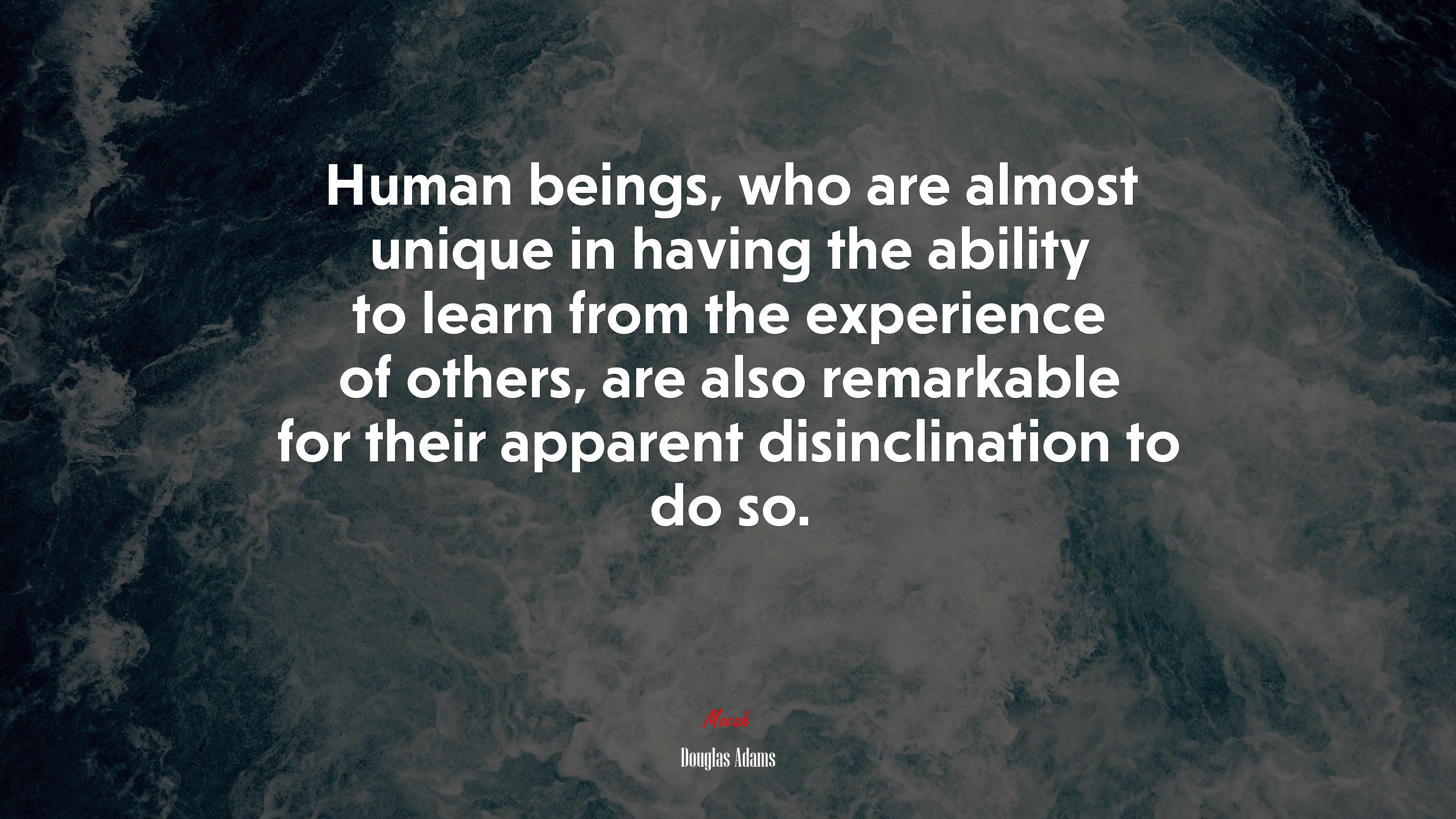 Human beings, who are almost unique in having the ability to learn from the experience of others, are also remarkable for their apparent disinclination to do so. | Douglas Adams quote HD Wallpaper