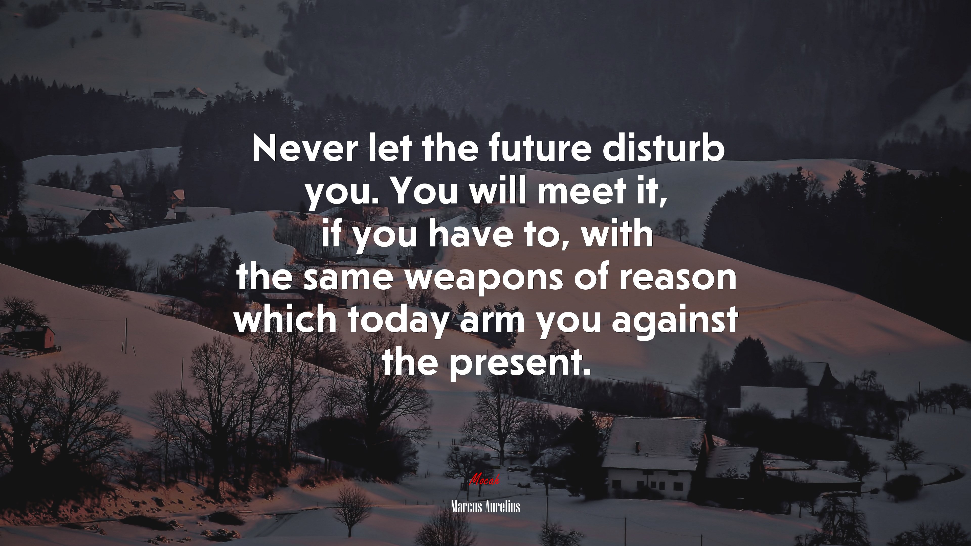 Never let the future disturb you. You will meet it, if you have to, with the same weapons of reason which today arm you against the present. | Marcus Aurelius quote HD Wallpaper