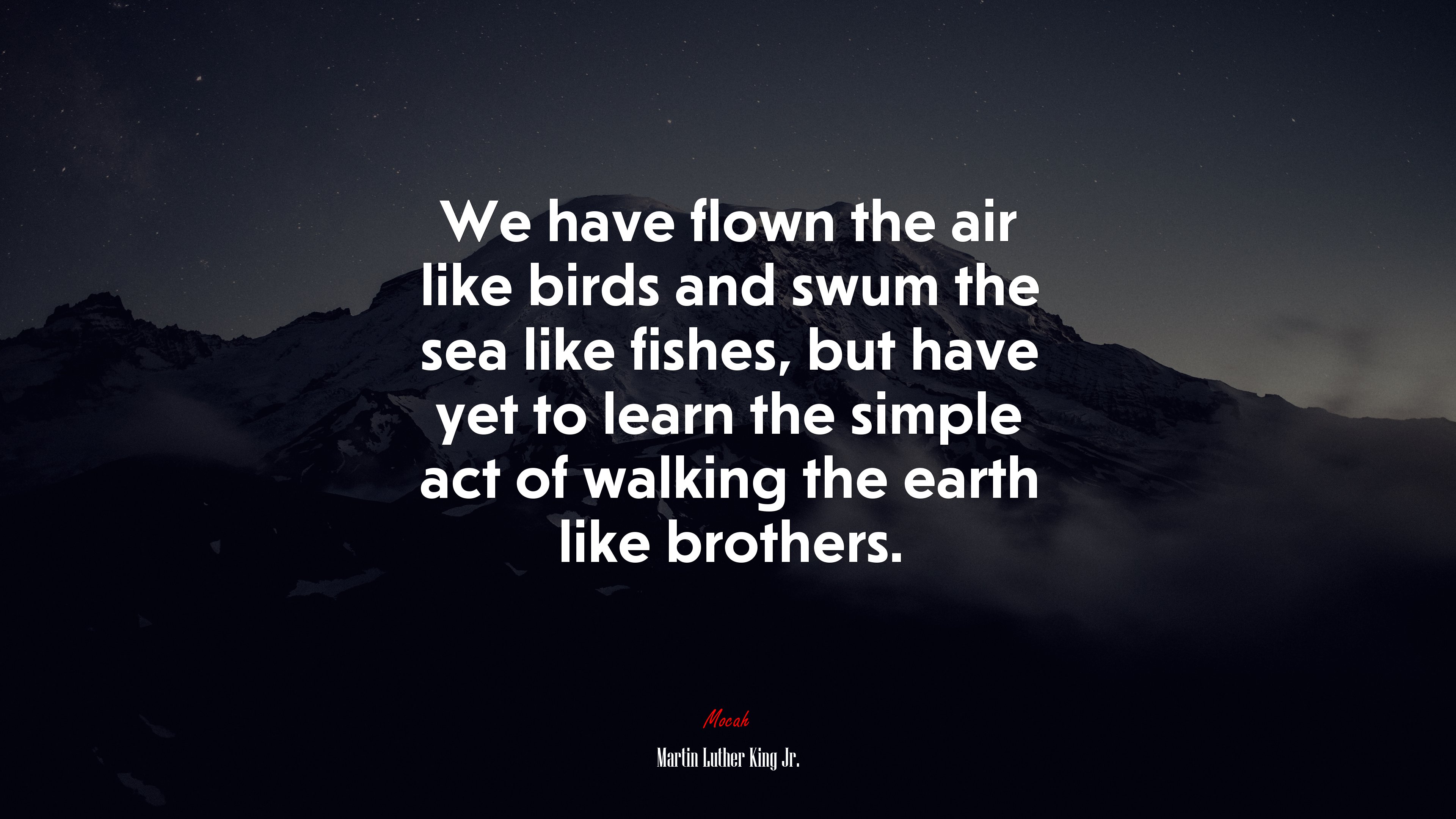 We have flown the air like birds and swum the sea like fishes, but have yet to learn the simple act of walking the earth like brothers. | Martin Luther King Jr. quote HD Wallpaper