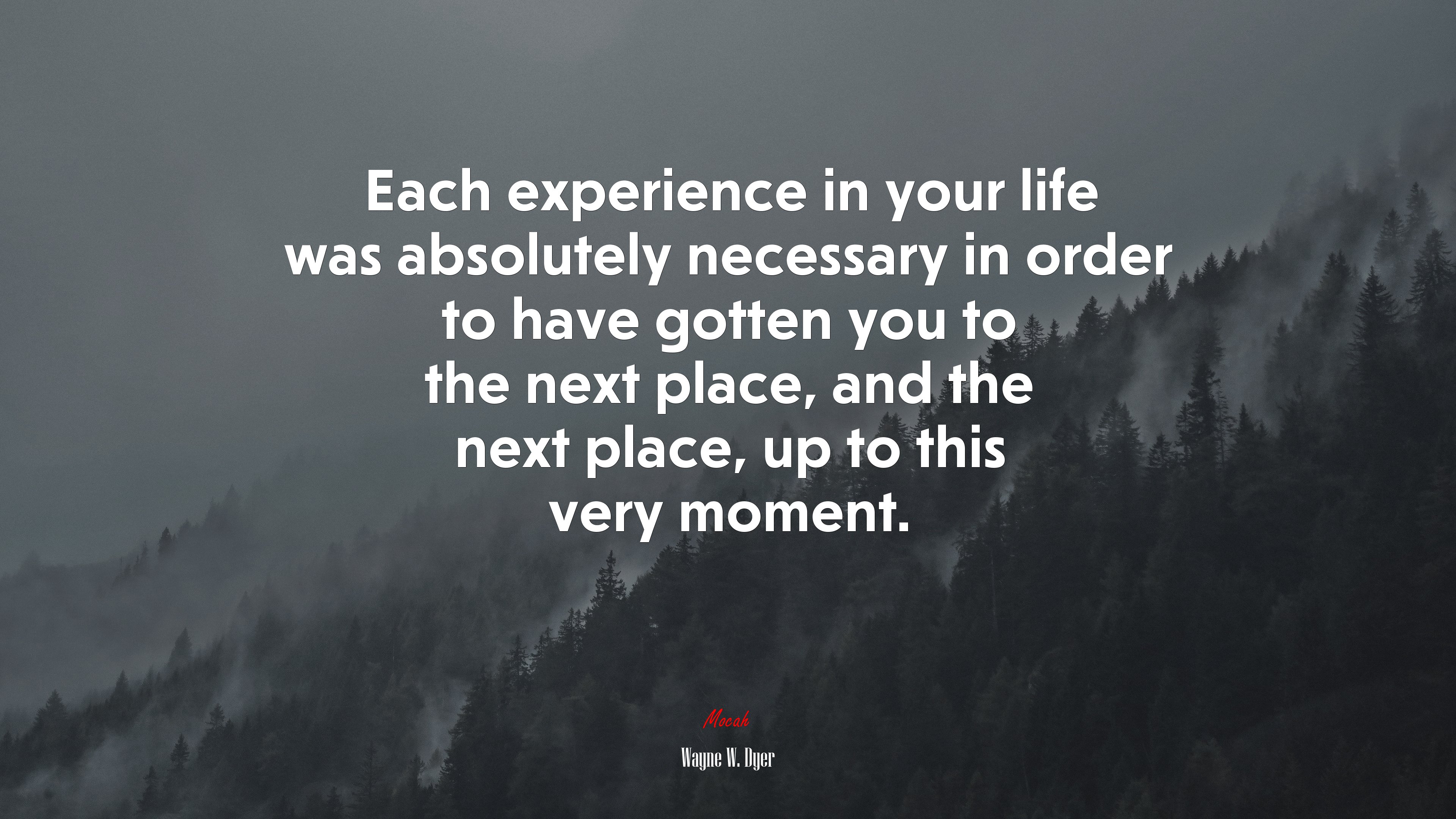 Each experience in your life was absolutely necessary in order to have gotten you to the next place, and the next place, up to this very moment. | Wayne W. Dyer quote HD Wallpaper