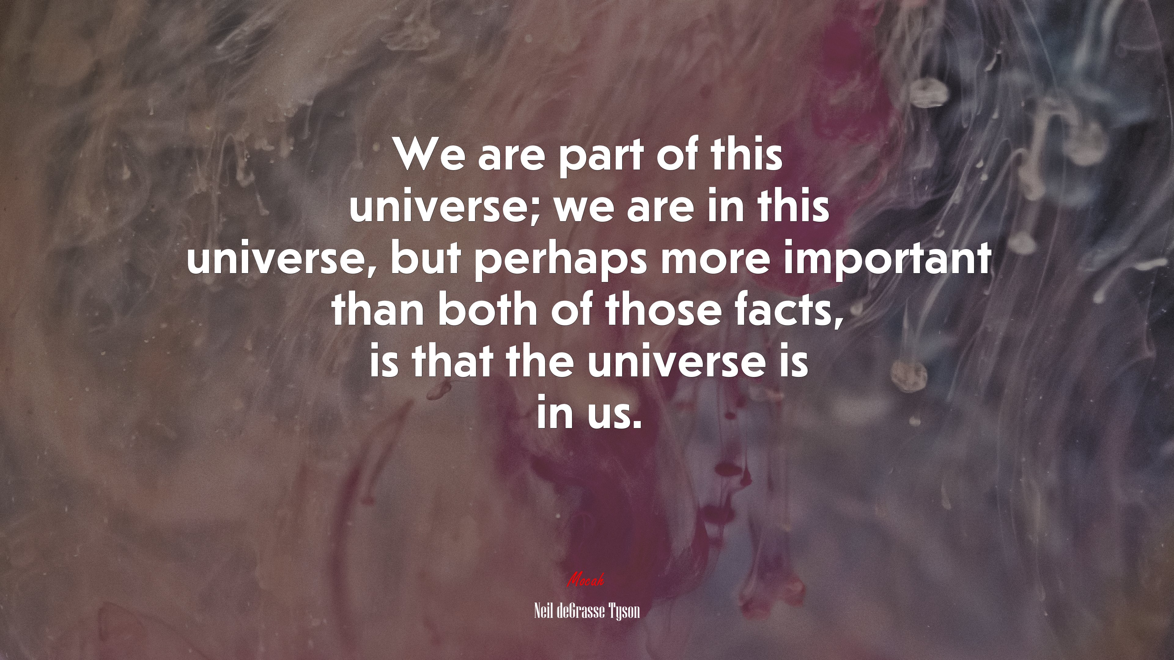We are part of this universe; we are in this universe, but perhaps more important than both of those facts, is that the universe is in us. | Neil deGrasse Tyson quote HD Wallpaper