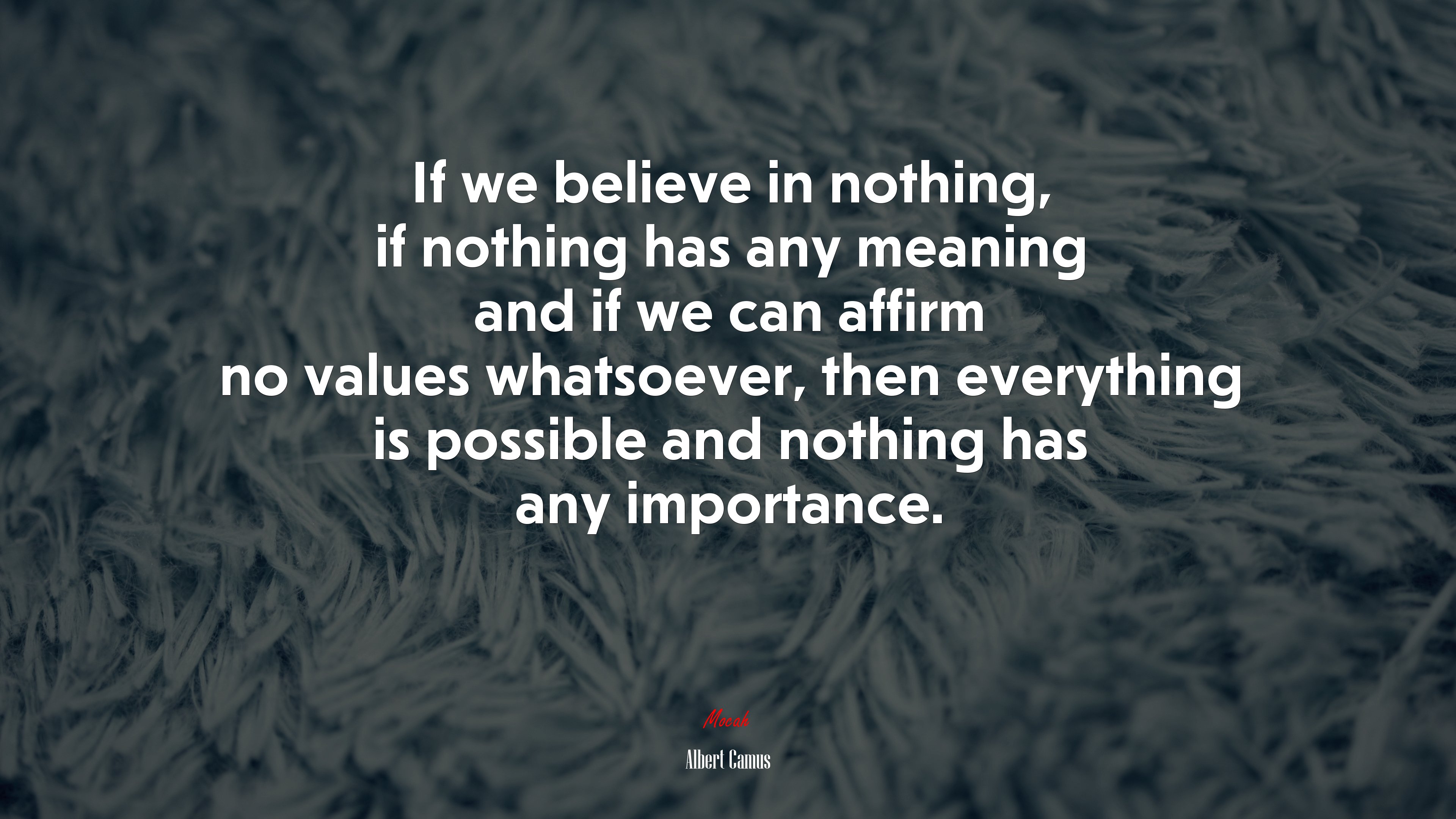 If we believe in nothing, if nothing has any meaning and if we can affirm no values whatsoever, then everything is possible and nothing has any importance. | Albert Camus quote HD Wallpaper