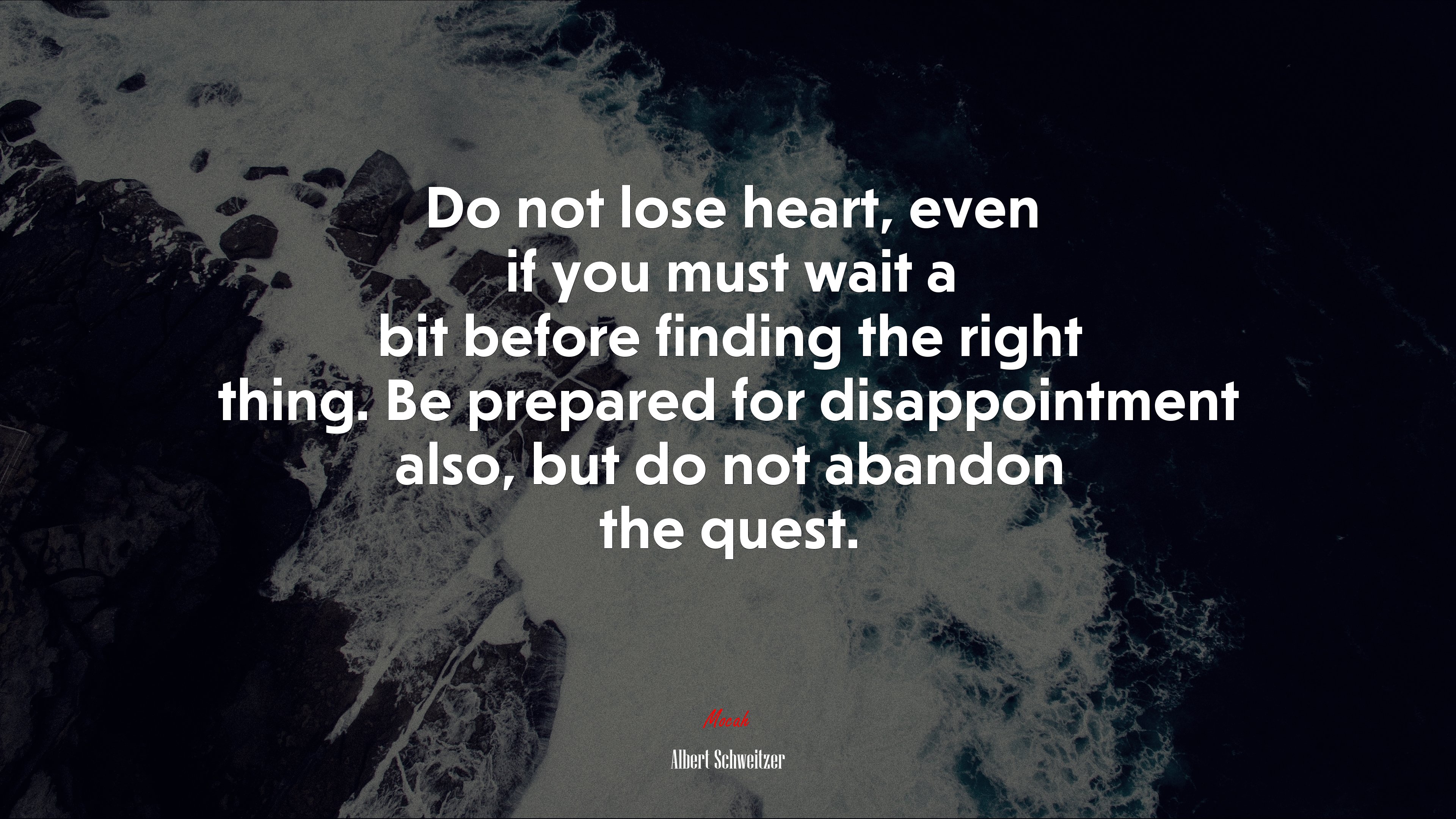 Do not lose heart, even if you must wait a bit before finding the right thing. Be prepared for disappointment also, but do not abandon the quest. | Albert Schweitzer quote HD Wallpaper