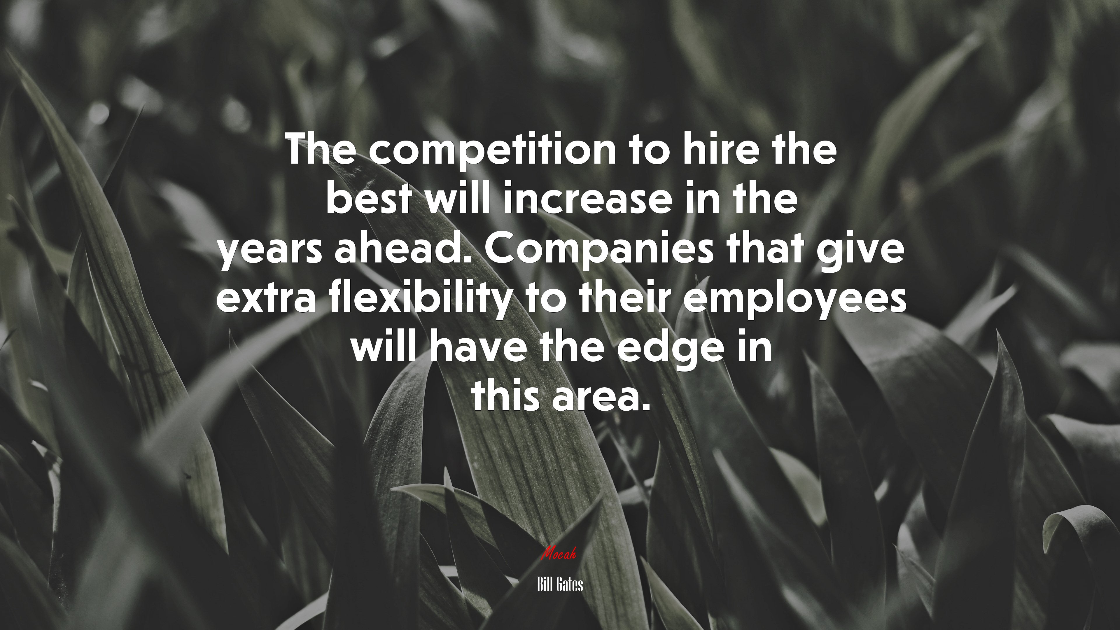 The competition to hire the best will increase in the years ahead. Companies that give extra flexibility to their employees will have the edge in this area. | Bill Gates quote HD Wallpaper