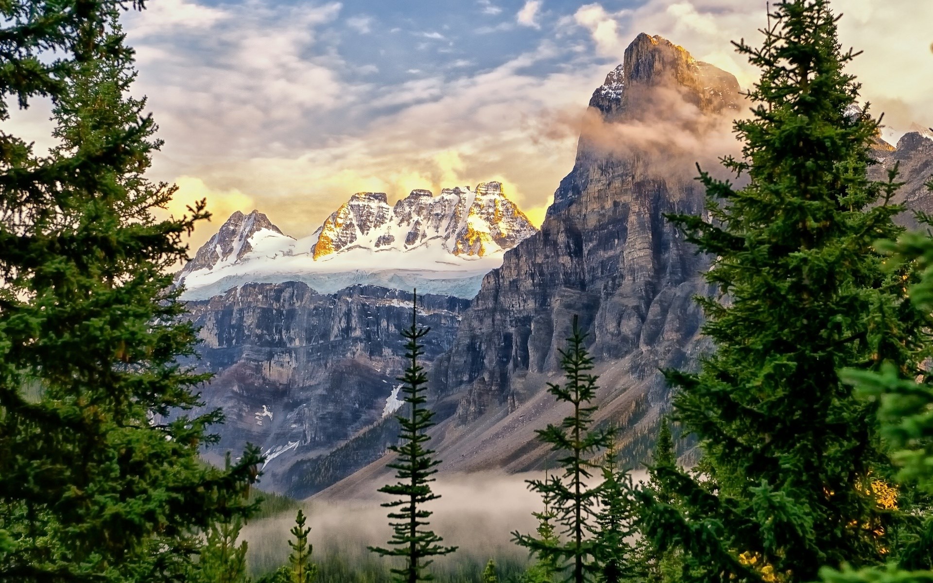 Snow-capped mountains viewed through pine trees HD Wallpaper