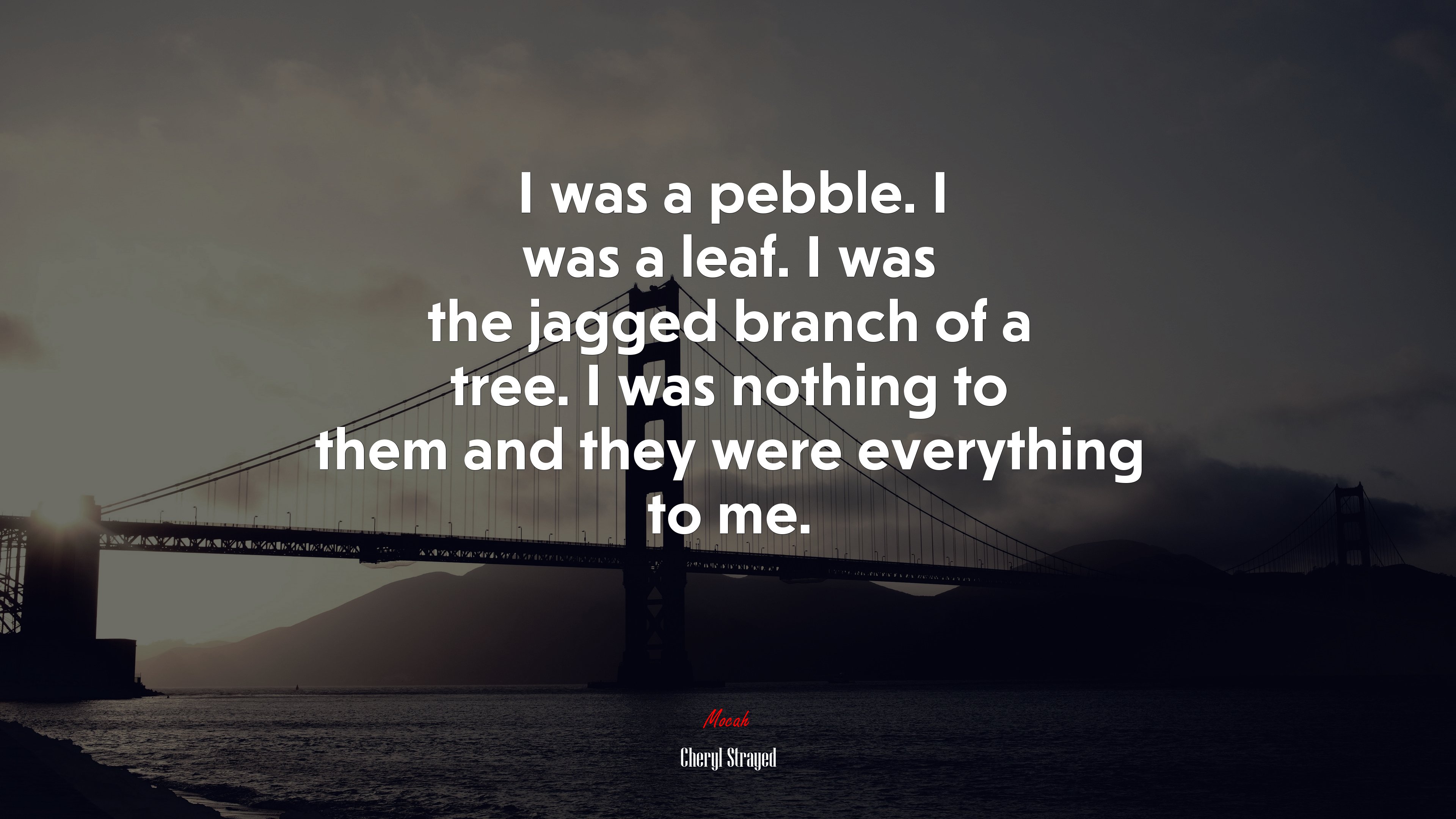 I was a pebble. I was a leaf. I was the jagged branch of a tree. I was nothing to them and they were everything to me. | Cheryl Strayed quote HD Wallpaper