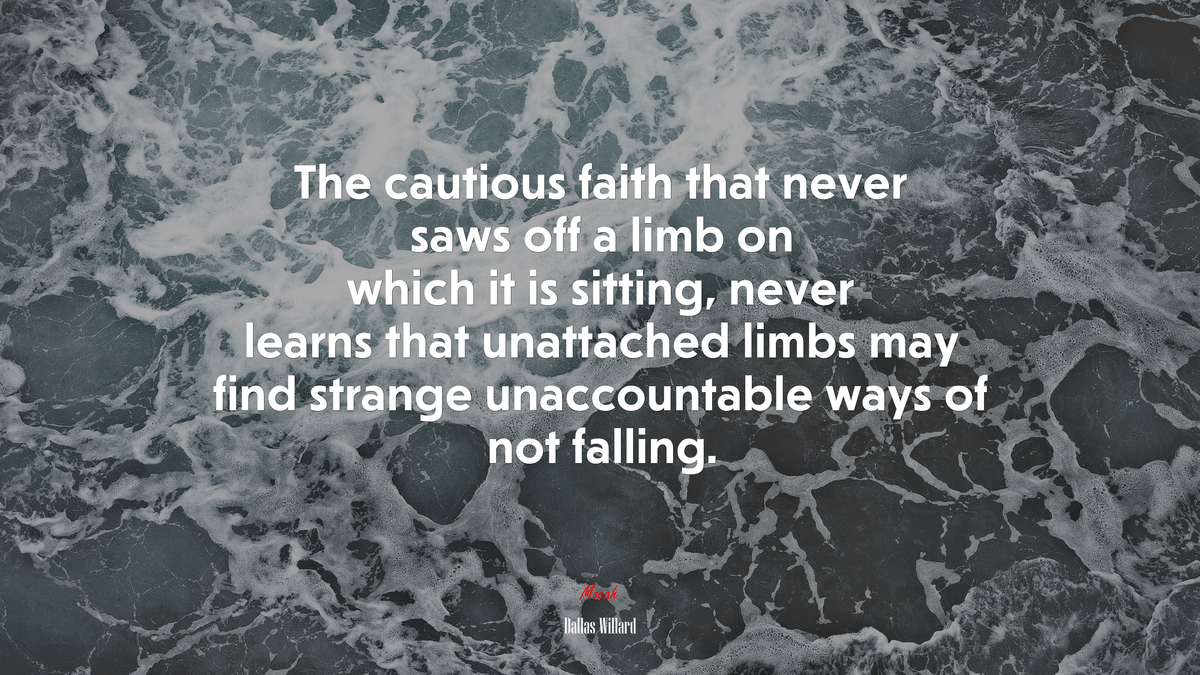 The cautious faith that never saws off a limb on which it is sitting, never learns that unattached limbs may find strange unaccountable ways of not falling. | Dallas Willard quote HD Wallpaper